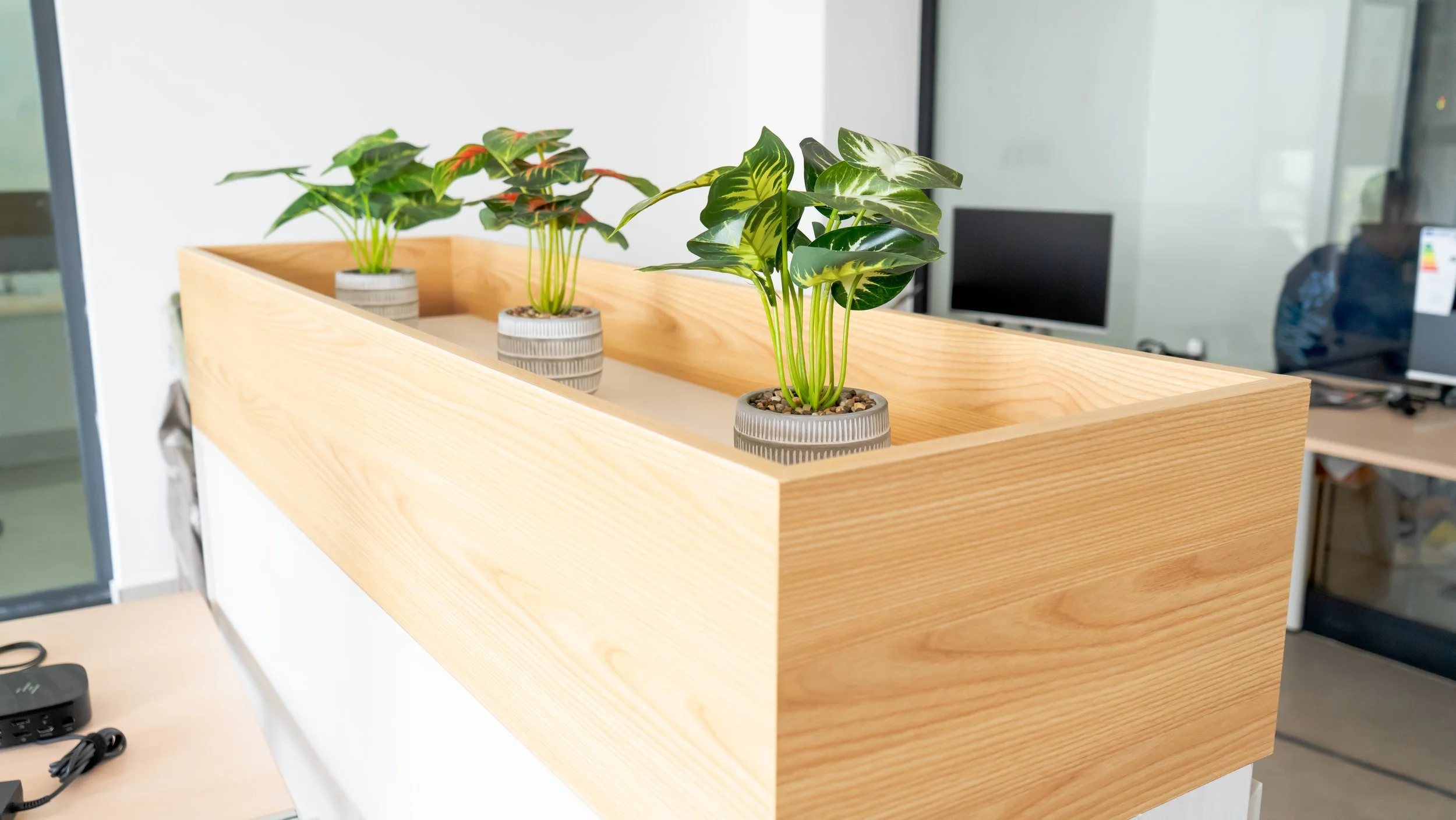 Copy of DSC05173.jpg