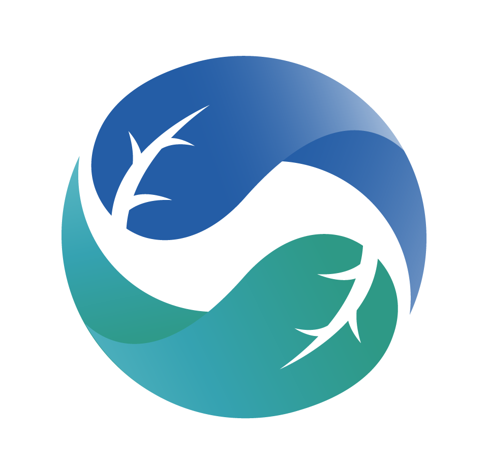 Illustration of a blue and green wave-like graphic with the Google Cloud logo.