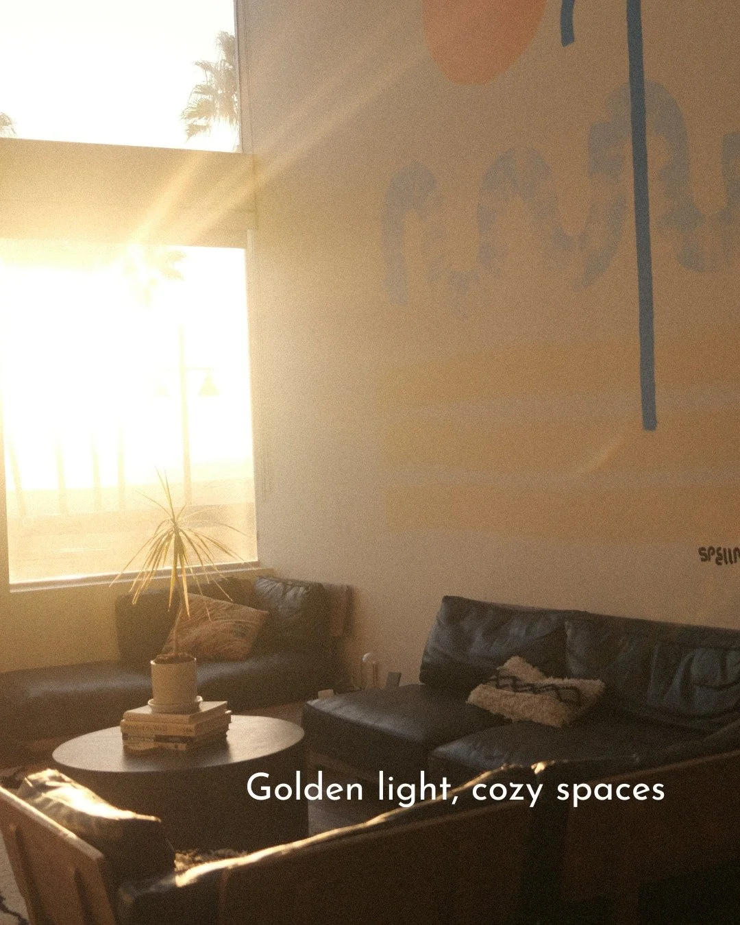 Find your cozy corner. Bright spaces, calm energy, and everything you need to feel at home in Venice Beach. 🌴

Book your stay at stayopen.com

#venicebeach #podhotel #losangeles #digitalnomad