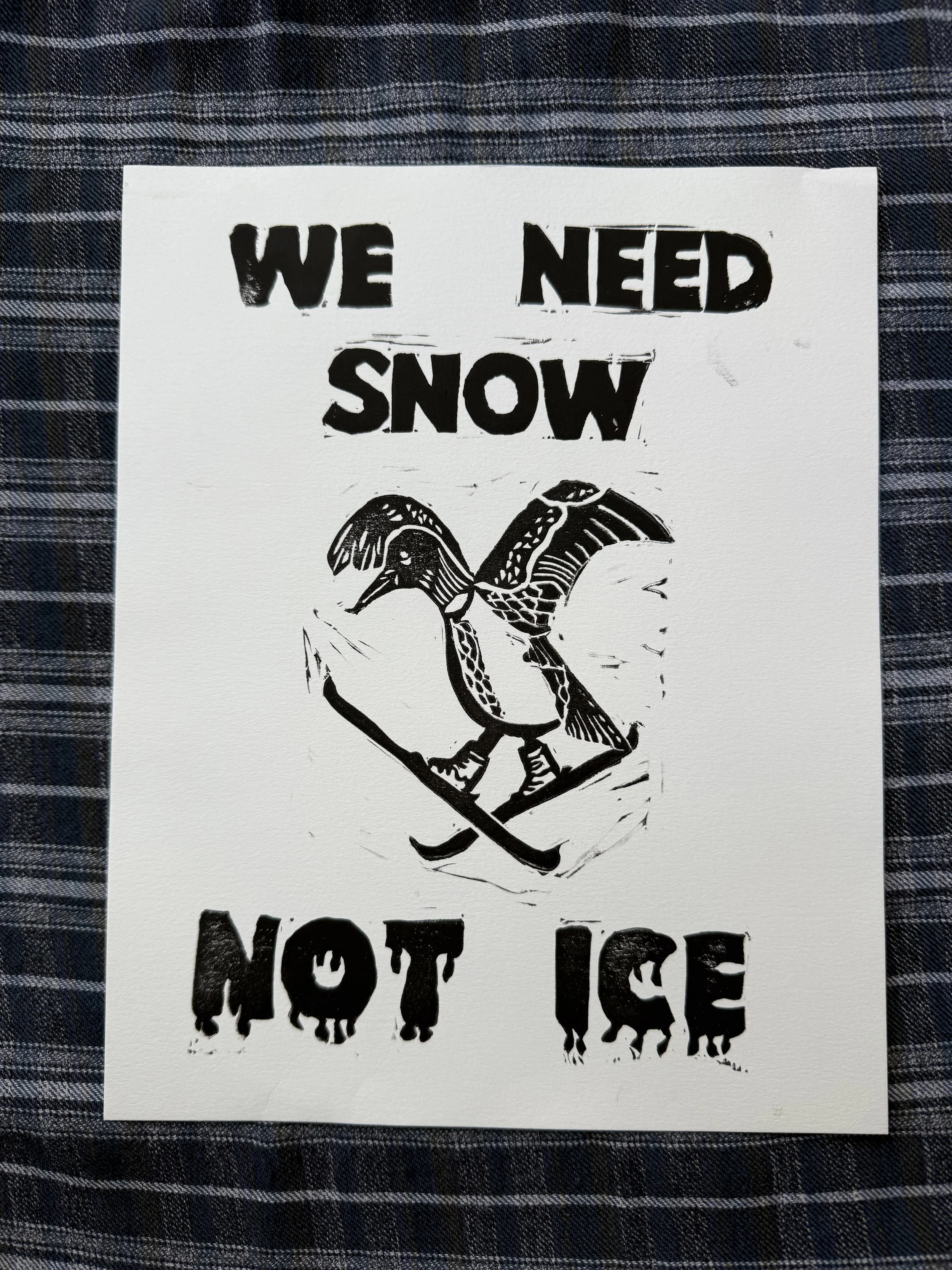 WE NEED SNOW NOT I.C.E.