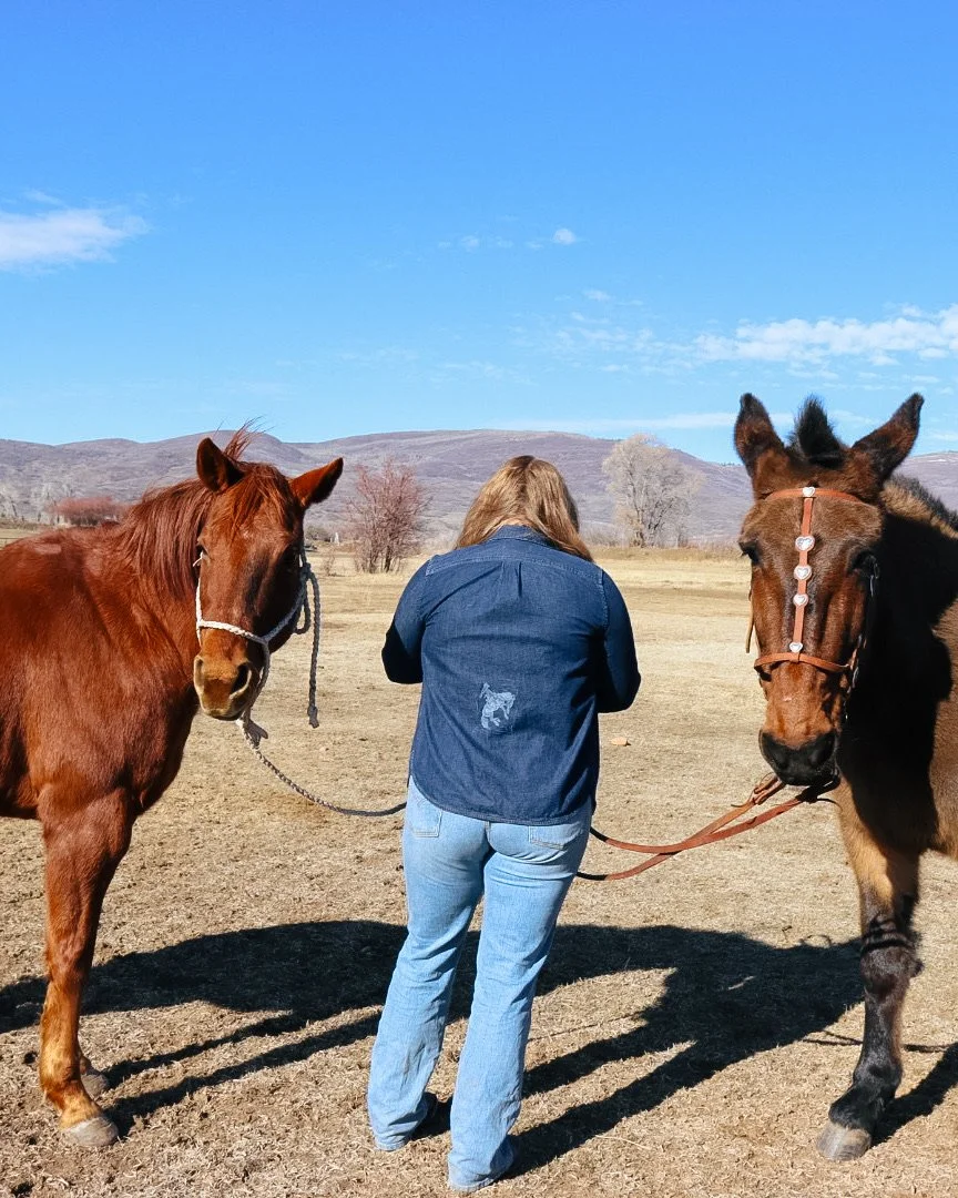 IMG_5966_Original 2.jpeg