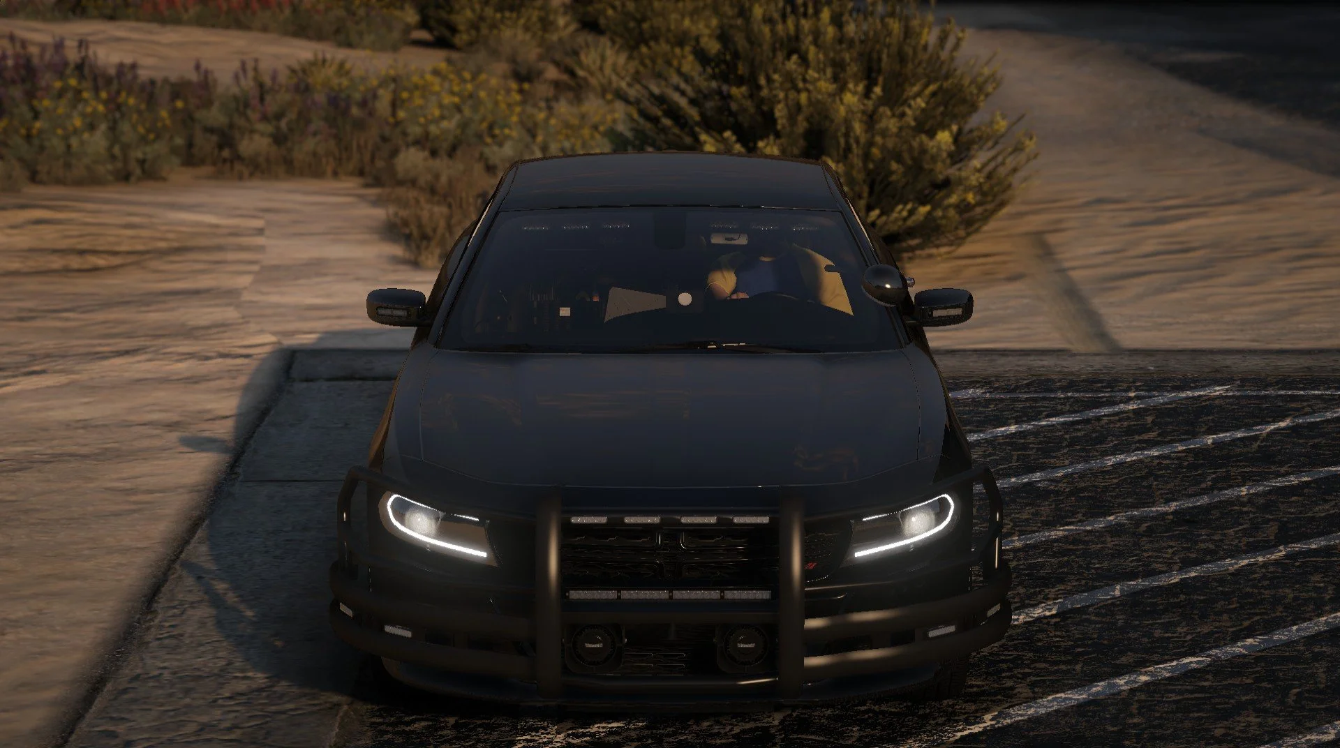 Fulton County 2018 Charger