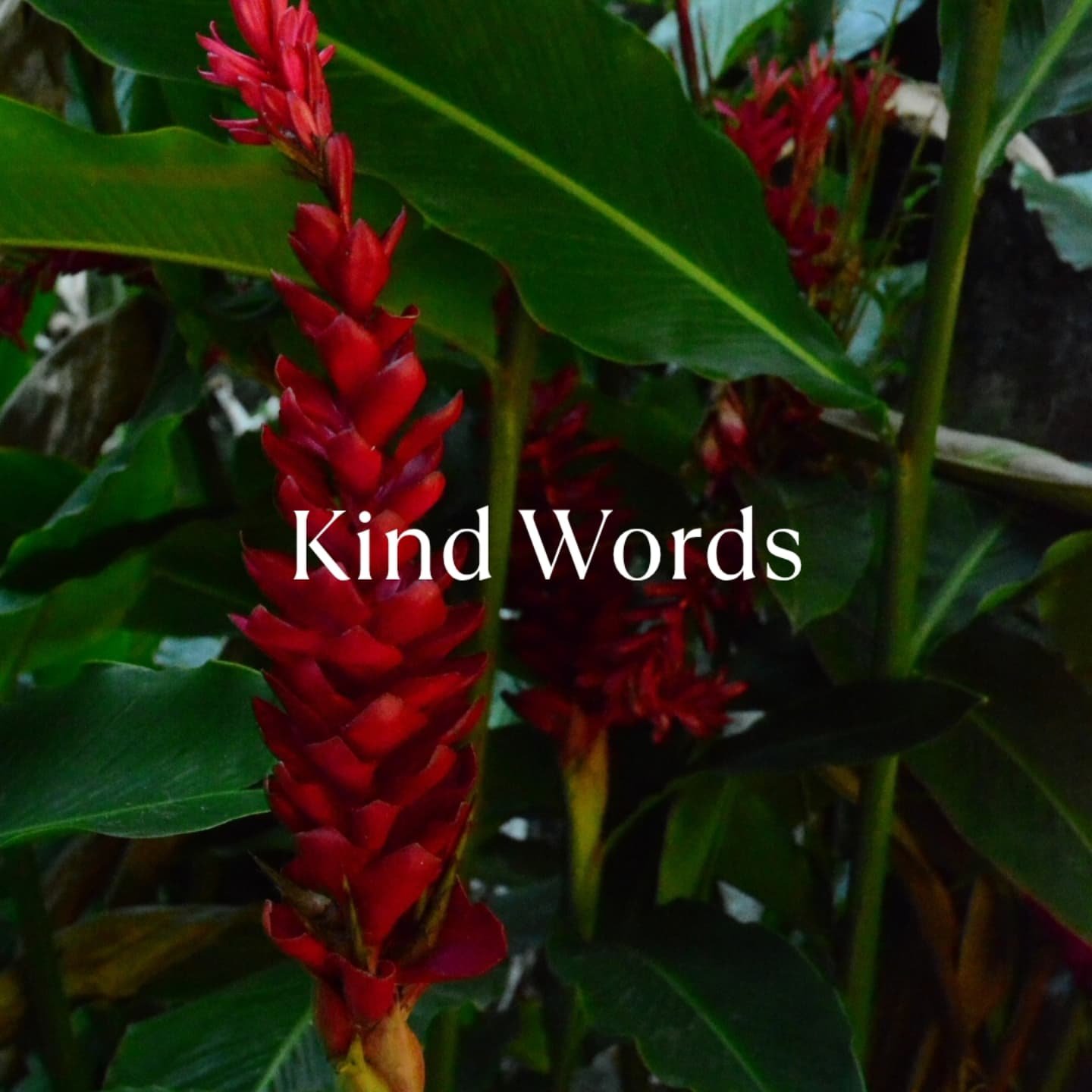 Grateful for the words that came my way ✨

Recently I received feedback that touched me deeply:
"Your presence feels so safe. I can truly drop into myself when I am with you."

Moments like this remind me why I do what I do.
Holding space, 