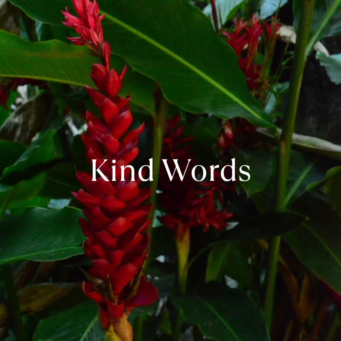 Grateful for the words that came my way ✨

Recently I received feedback that touched me deeply:
"Your presence feels so safe. I can truly drop into myself when I am with you."

Moments like this remind me why I do what I do.
Holding space, 