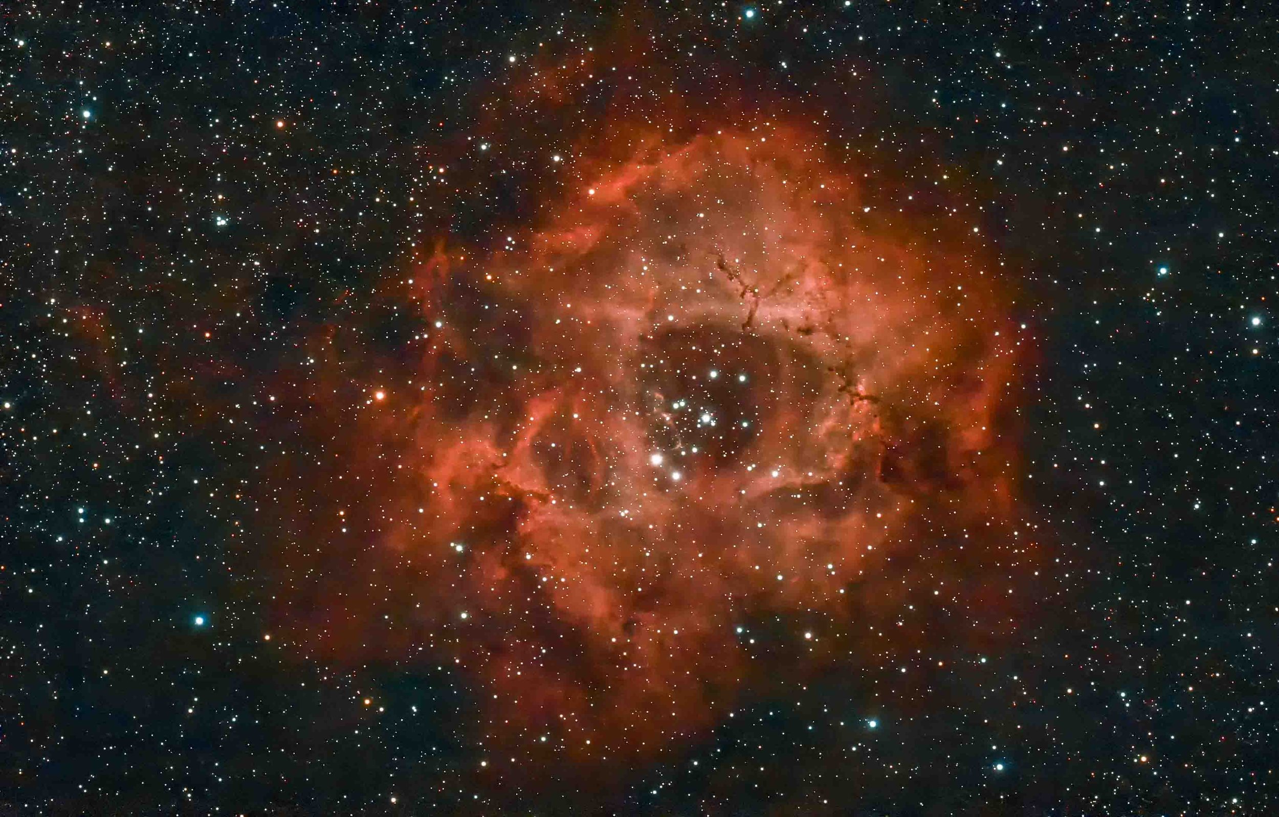 The Rosette Nebula