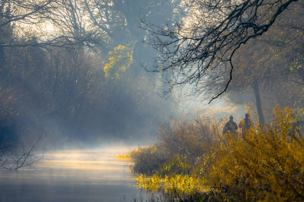 Autumn by The Basingstoke Canal