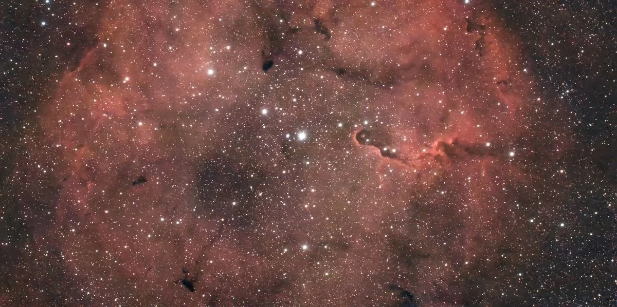 Elephant's Trunk Nebula