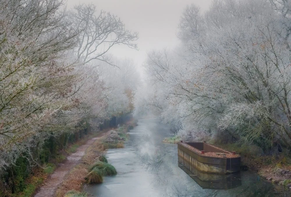 Autumn by The Basingstoke Canal