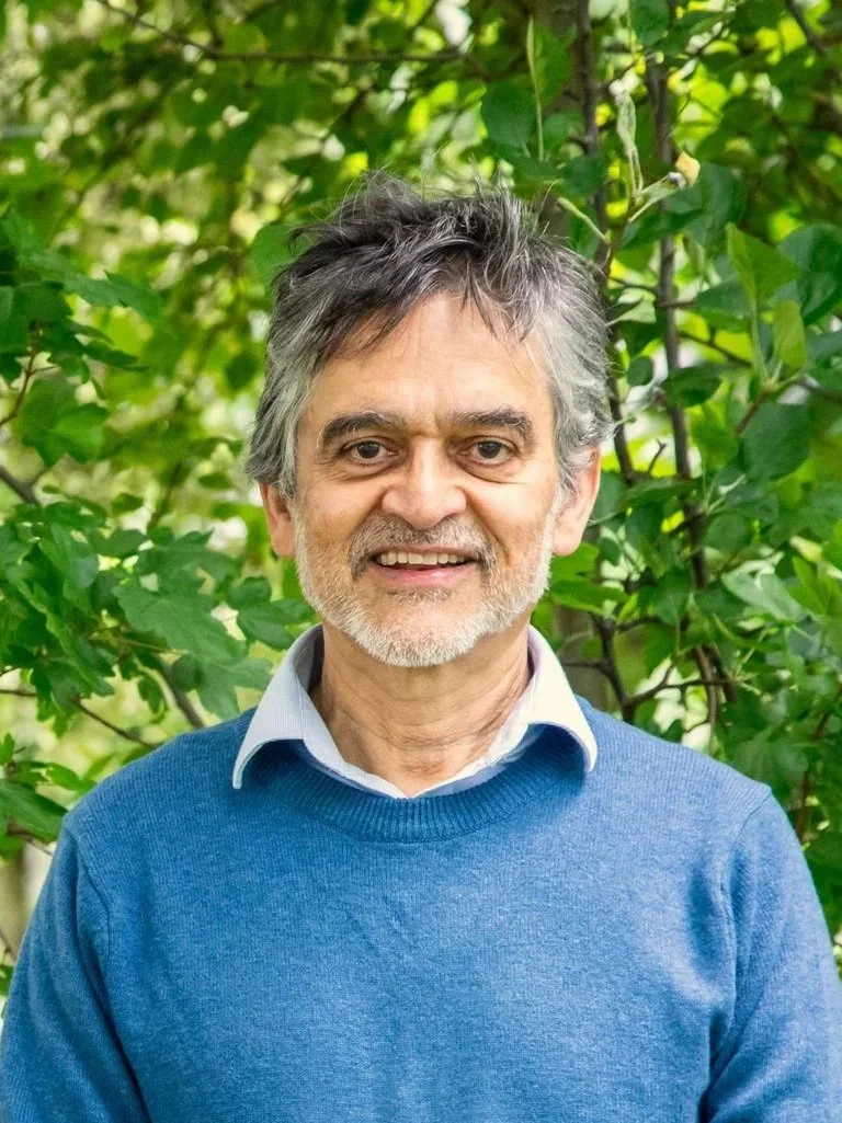 A middle-aged man with gray hair and a beard smiling outdoors, wearing a blue sweater and a collared shirt, standing in front of green leafy trees.