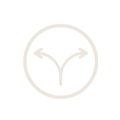 Icon with left and right arrows