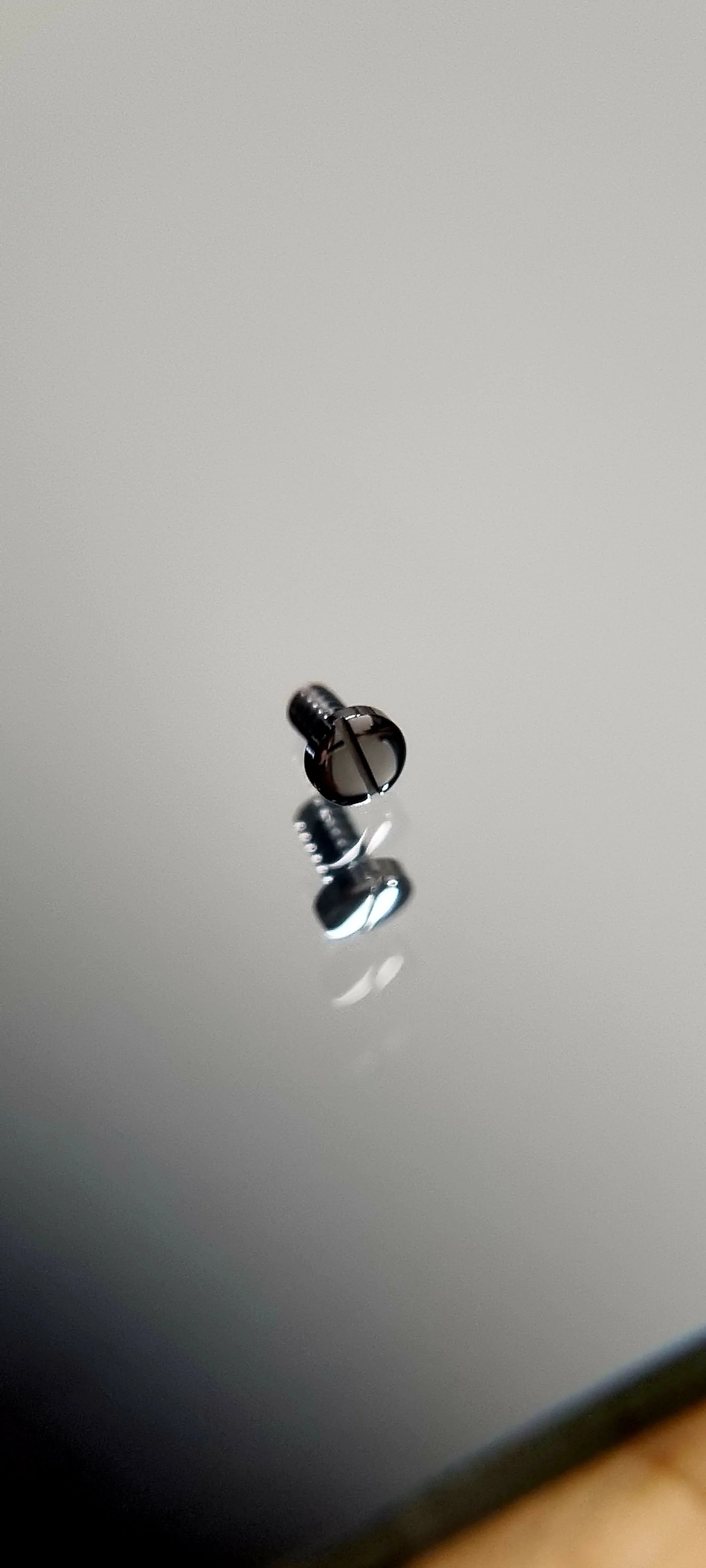 Polished dial screw
