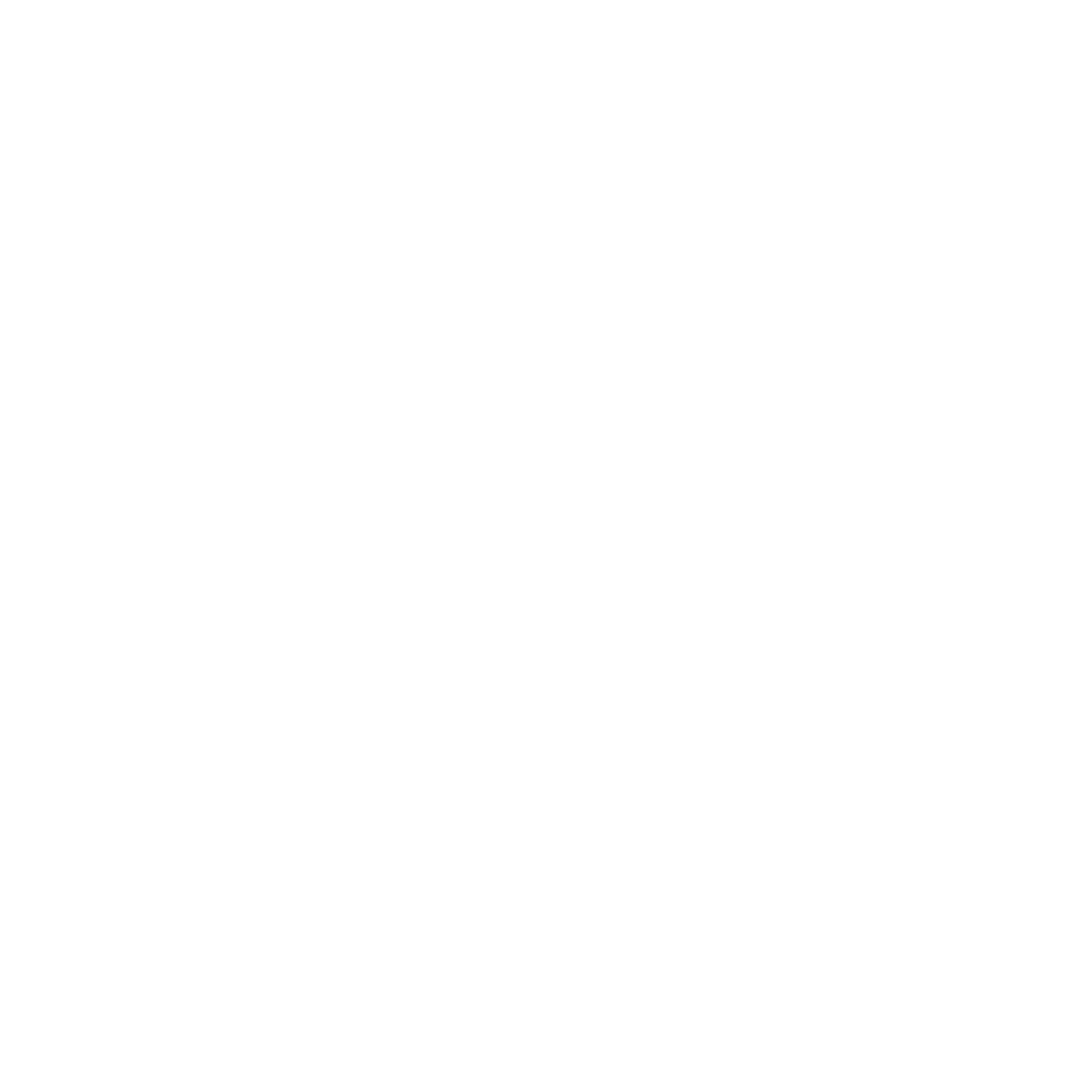 Rebellion Sports