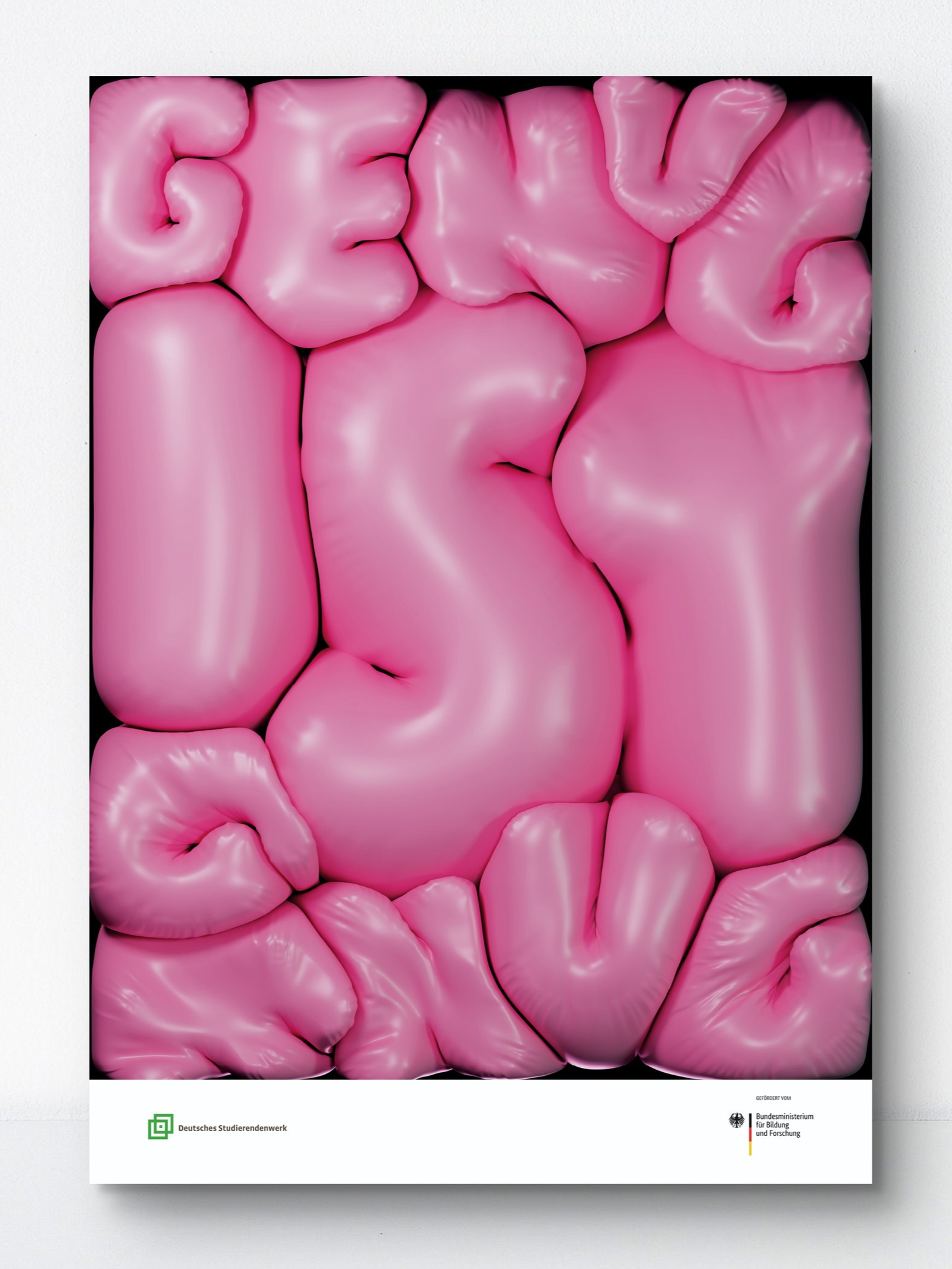 DSW Plakatwettbewerb