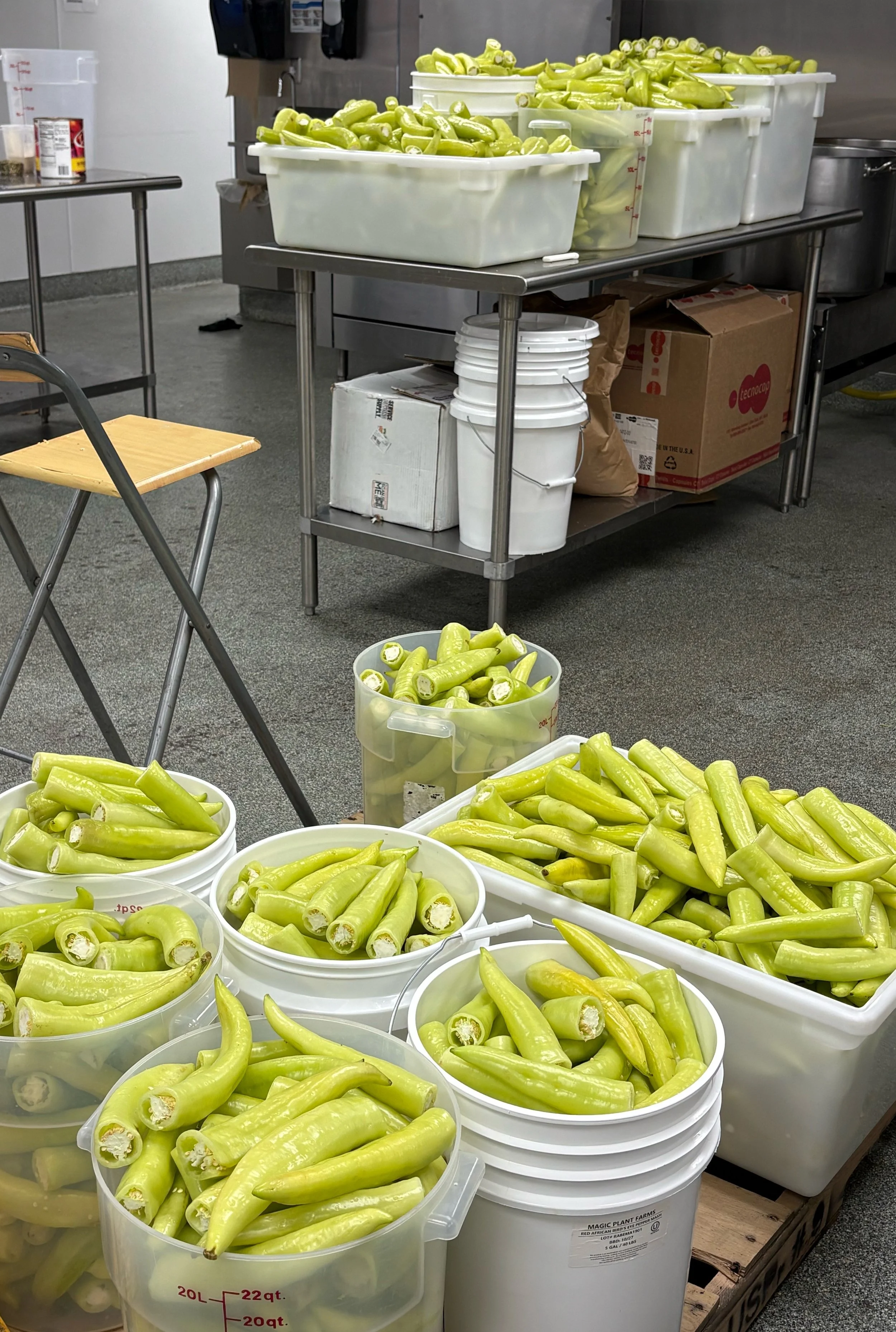 Large containers and buckets filled with peeled green peppers in a kitchen or food processing area.