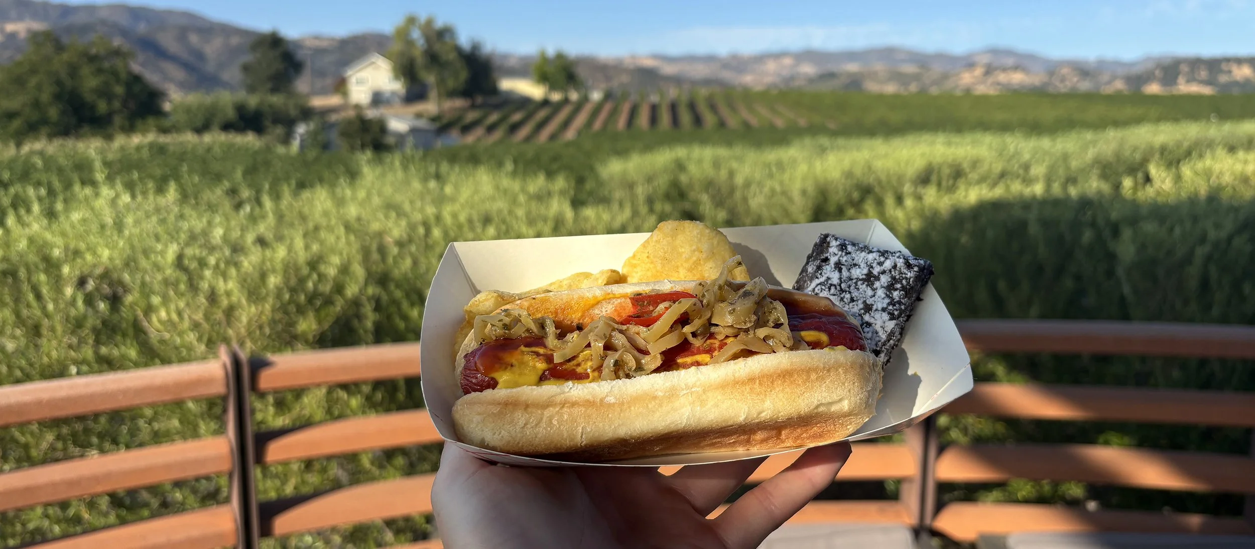 The Ultimate Hot Dog Relish Guide: From Classic Chicago to Homemade Favorites