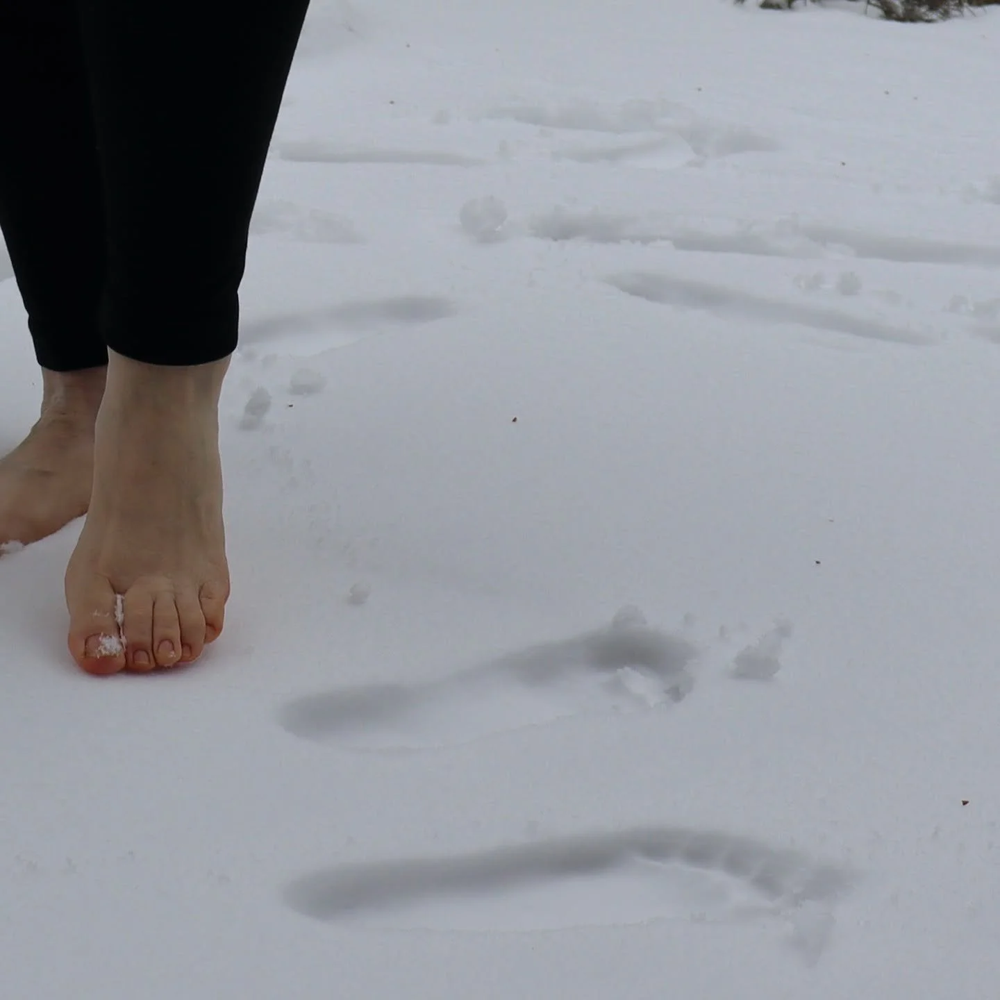 クナイプ式の雪ウォークは、日本では「雪踏み健康法」とも言えるでしょう。
ドイツ語では Schneetreten（シュネートレーテン） と呼ばれます。

新雪の上を短い時間だけ裸足で歩くことで、足先に強い冷刺激が与えられ、血行が促されます。
雪ウォークの後は、肌が驚くほどやわらかく感じられます。

雪踏みは短い時間で十分です。
痛みを感じる前にやめるのがクナイプの基本です。

そして雪踏みの後は、すぐに足をよく拭いて暖かい靴下を履きましょう。
足を冷えたままにしないことが大切です。 ❄️

Kne