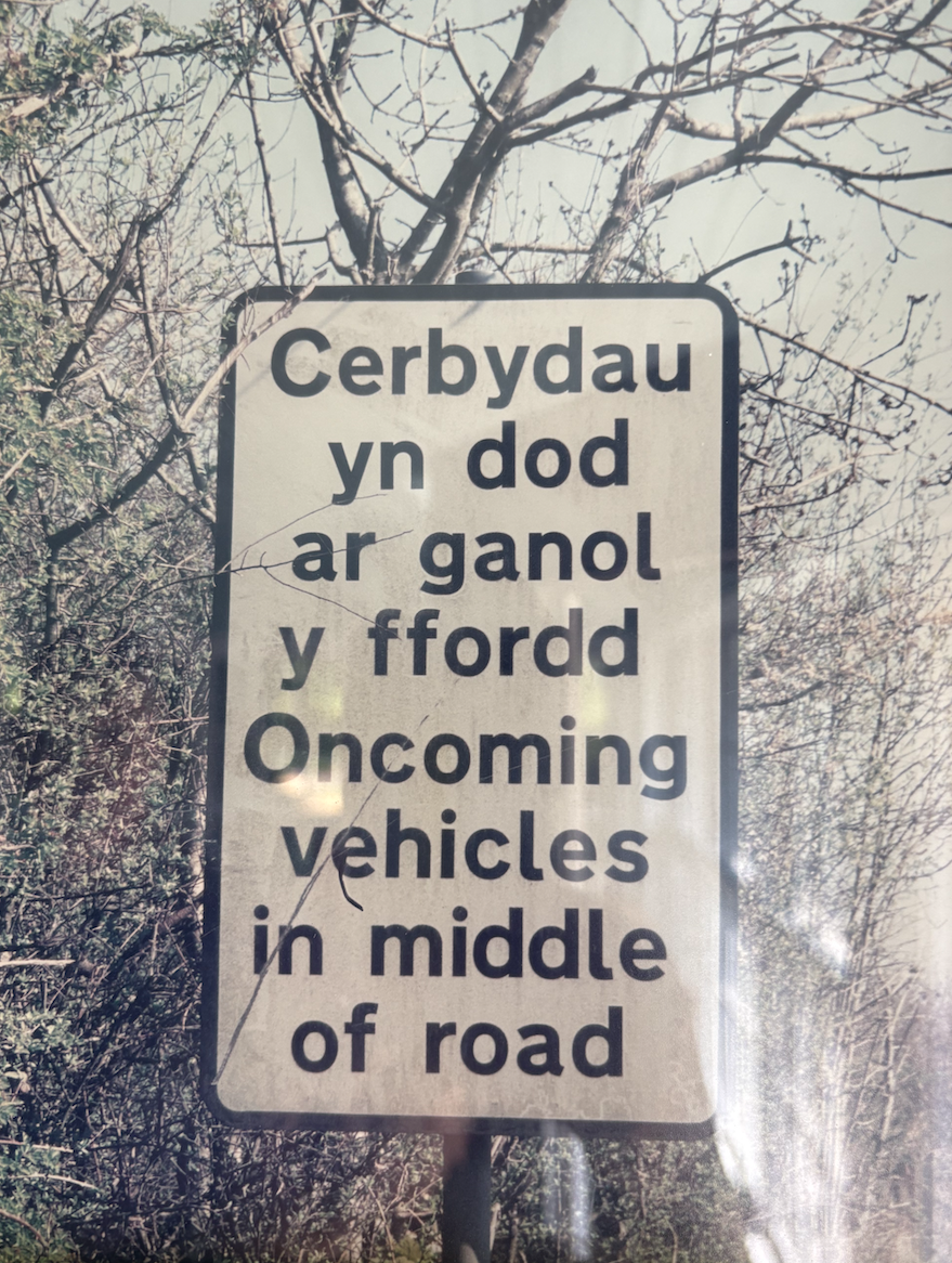 Renting a car and driving abroad