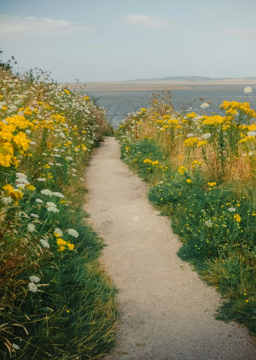 Wale of a Good Time: Wales, 21-28+ days