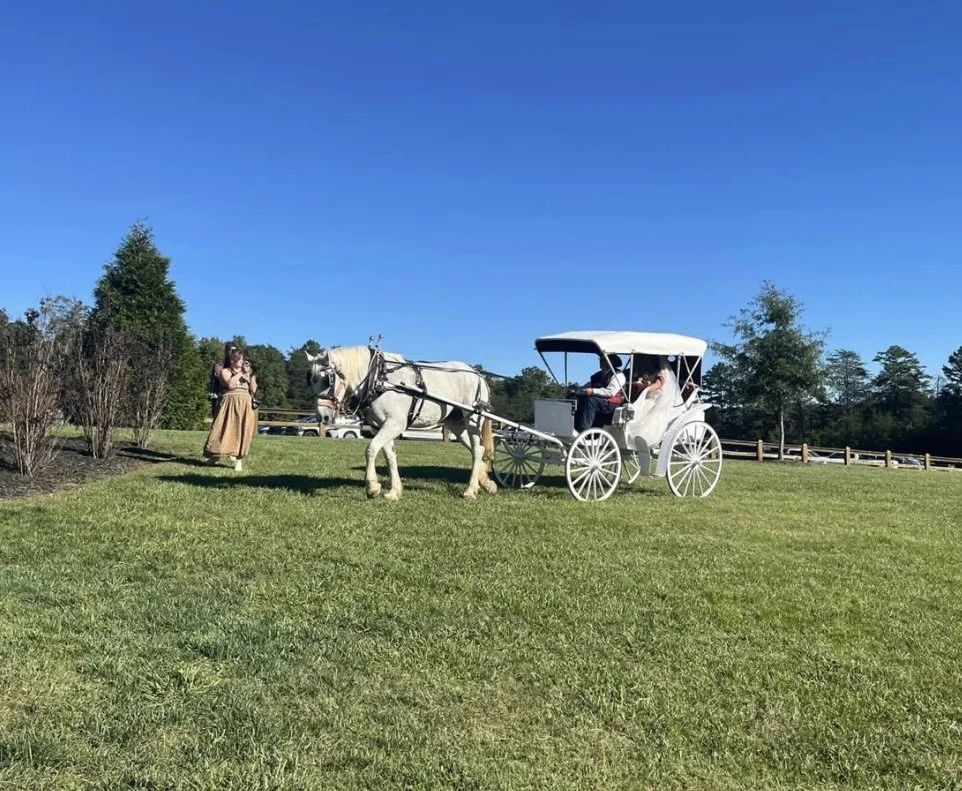 🪄 Private Horse-Drawn Carriage Rides