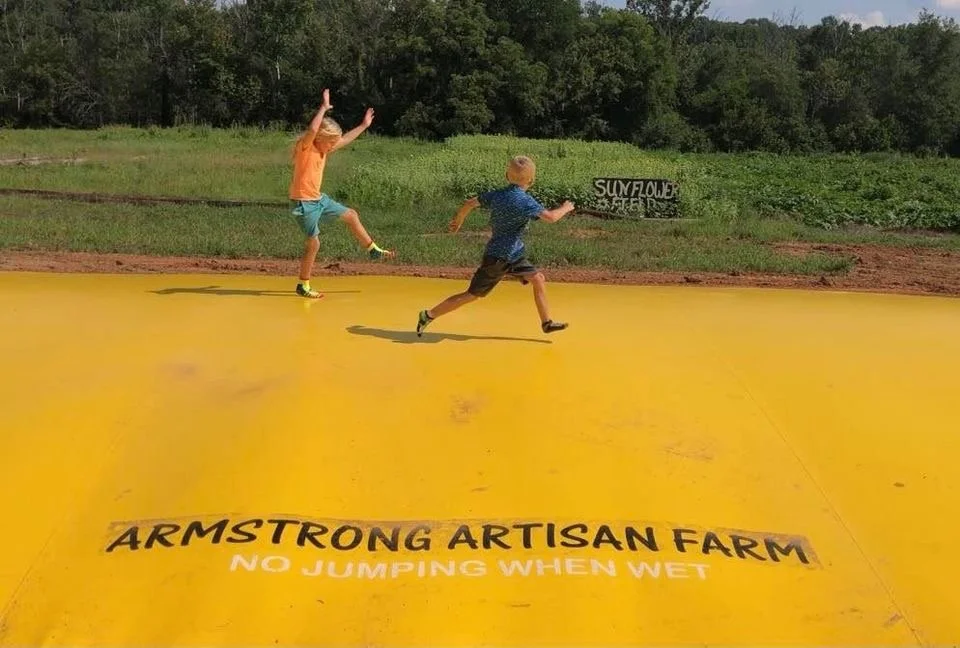 Homeschool Days at the Carolina Strawberry Festival