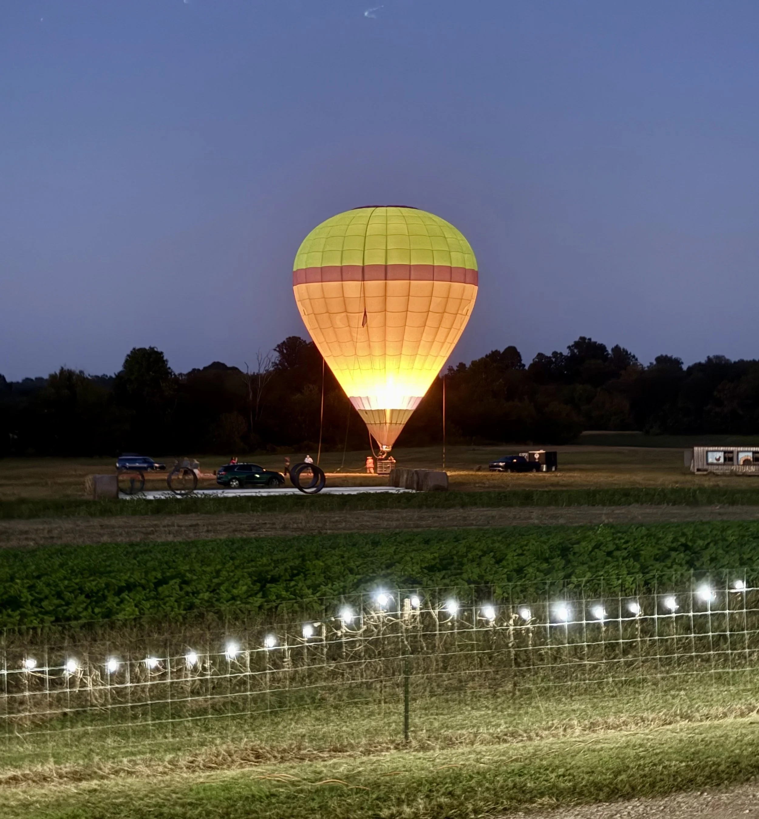Hot-Air Balloon Rides at Armstrong Artisan Farm! 🌽🌻 