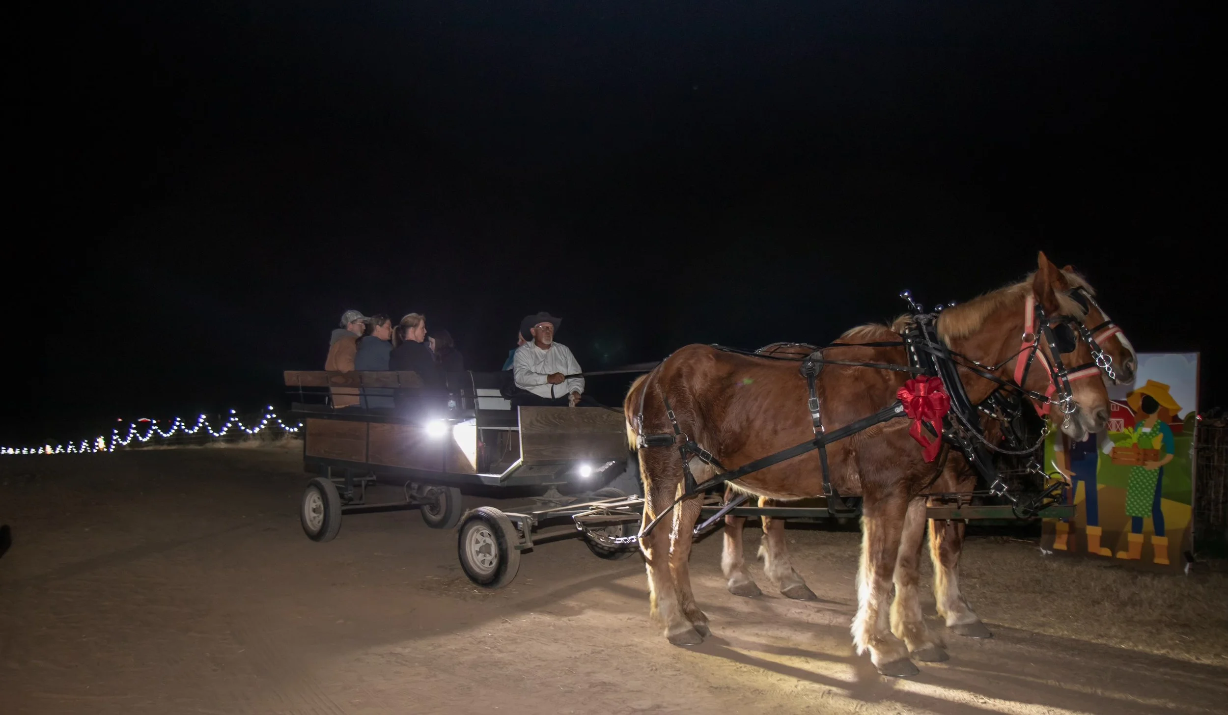 Carriage Ride at Armstrong Artisan Farm