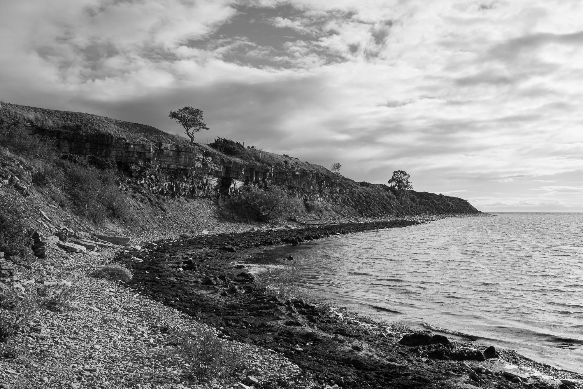20 september 2023_MartinEllerstrom_öland_webben_Z72_5791.jpg