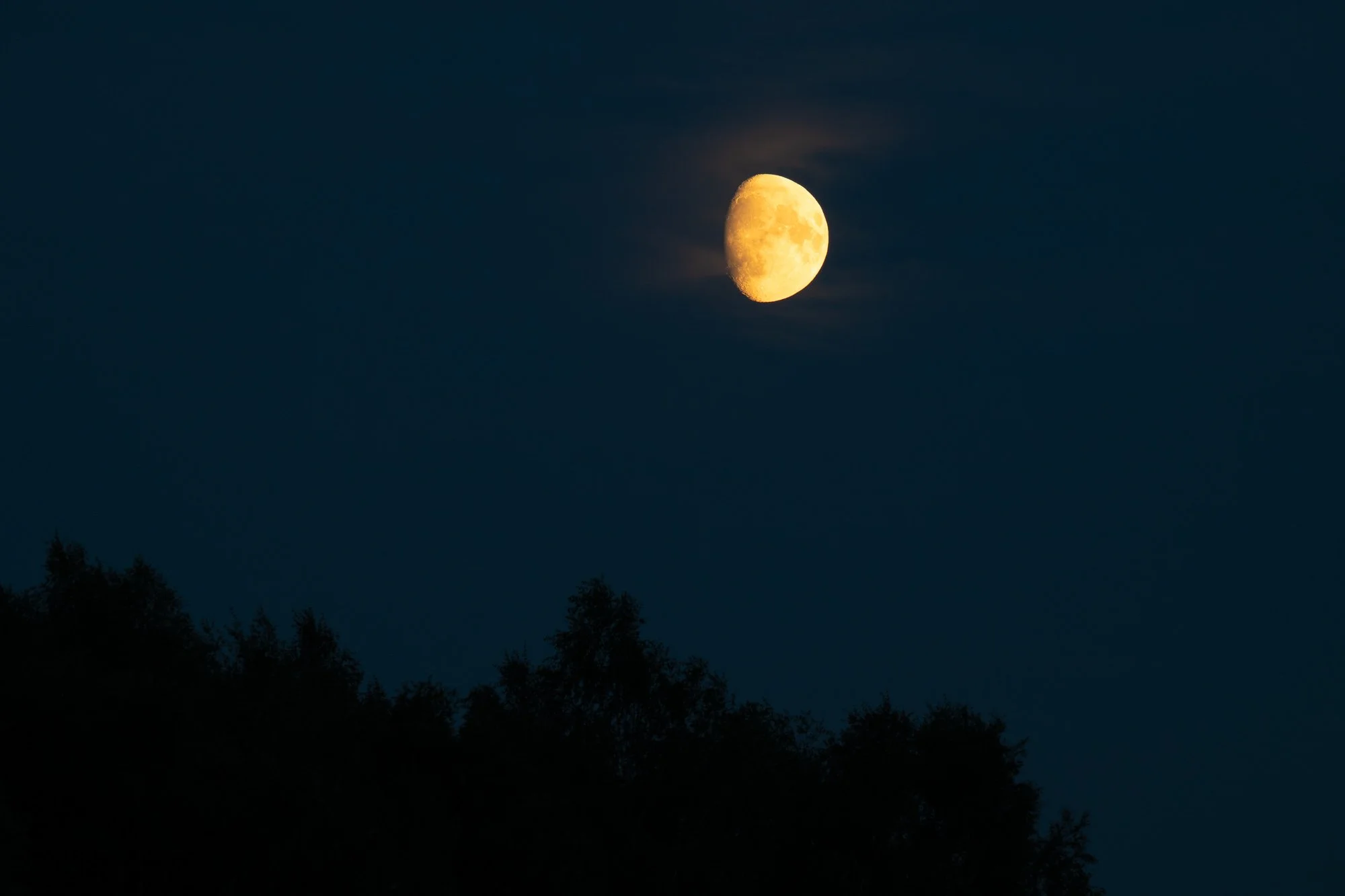 15 augusti 2024_MartinEllerstrom_måne_webben__Z8F6992.jpg