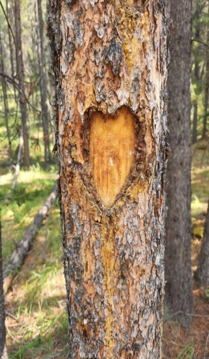 Relax, slow down. Get back to your true nature!