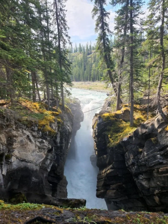 Restore your flow at Gem & Co