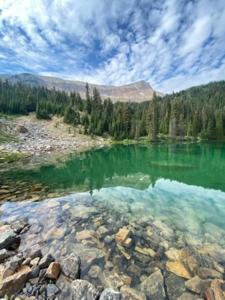 The BioMat and Crystal Light Tree help you restore a grounded presence and inner peace.