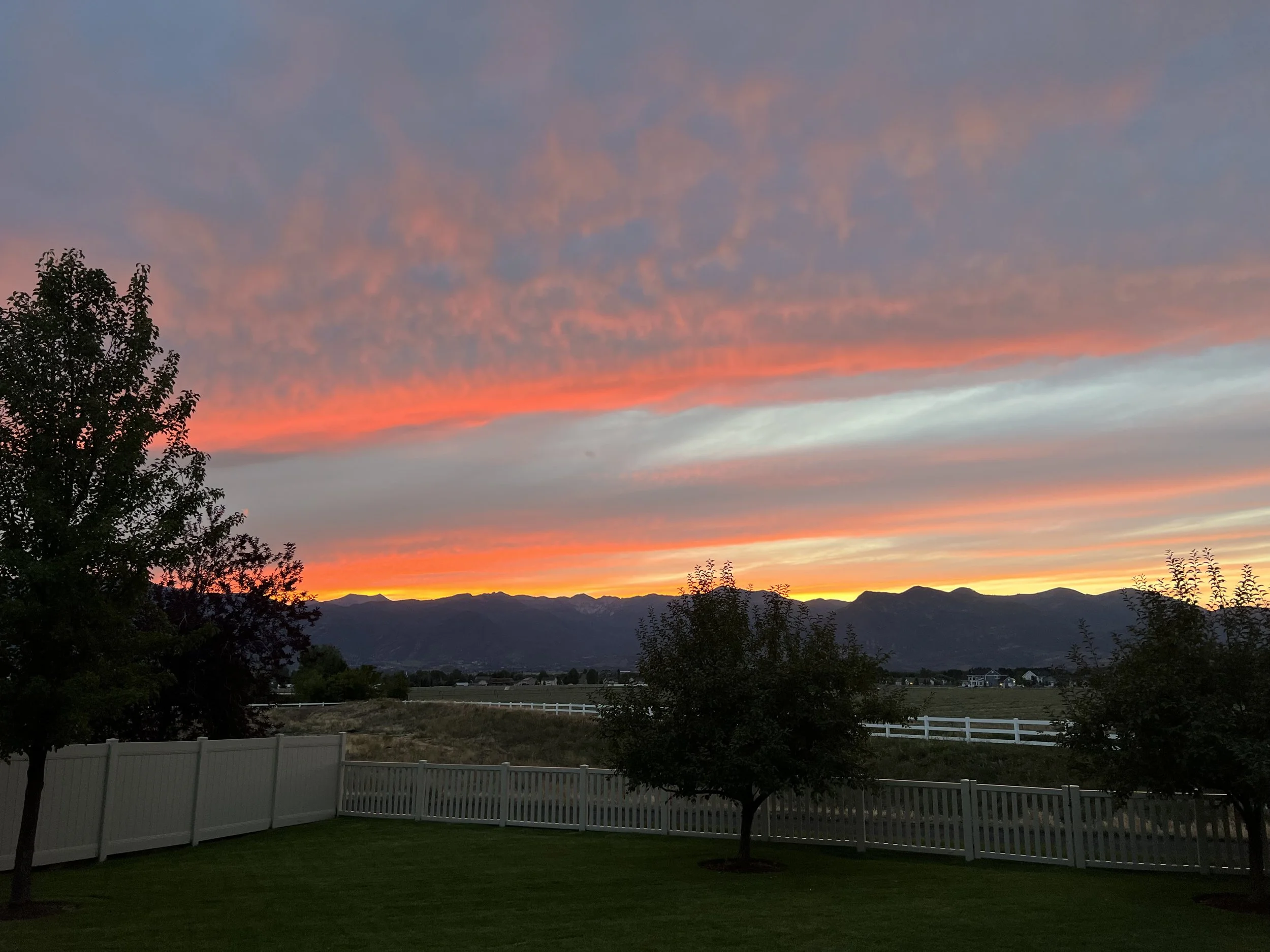 Why Heber Lawns Struggle in Early Spring (And What You Can Do Now to Prevent It)