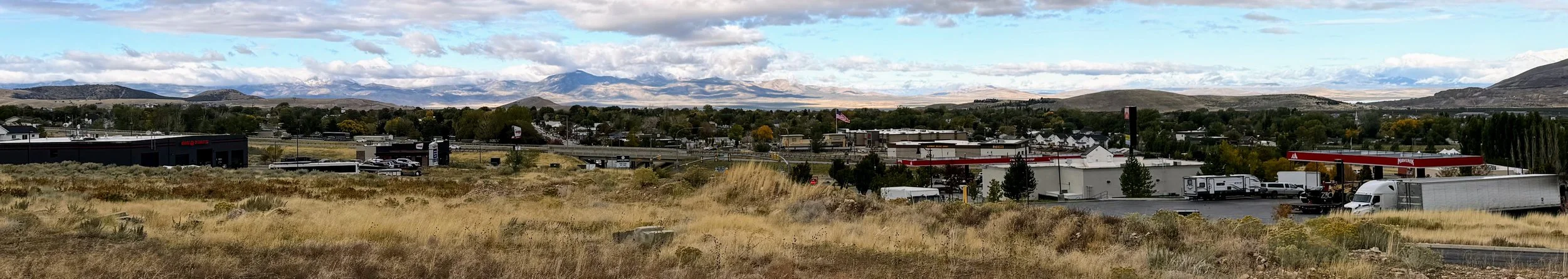 Why Weeds Are a Constant Problem in Santaquin Lawns