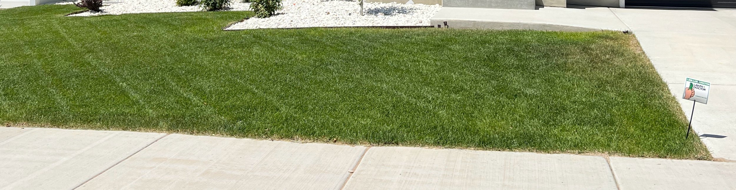 The Real Reason Mapleton Lawns Can Struggle