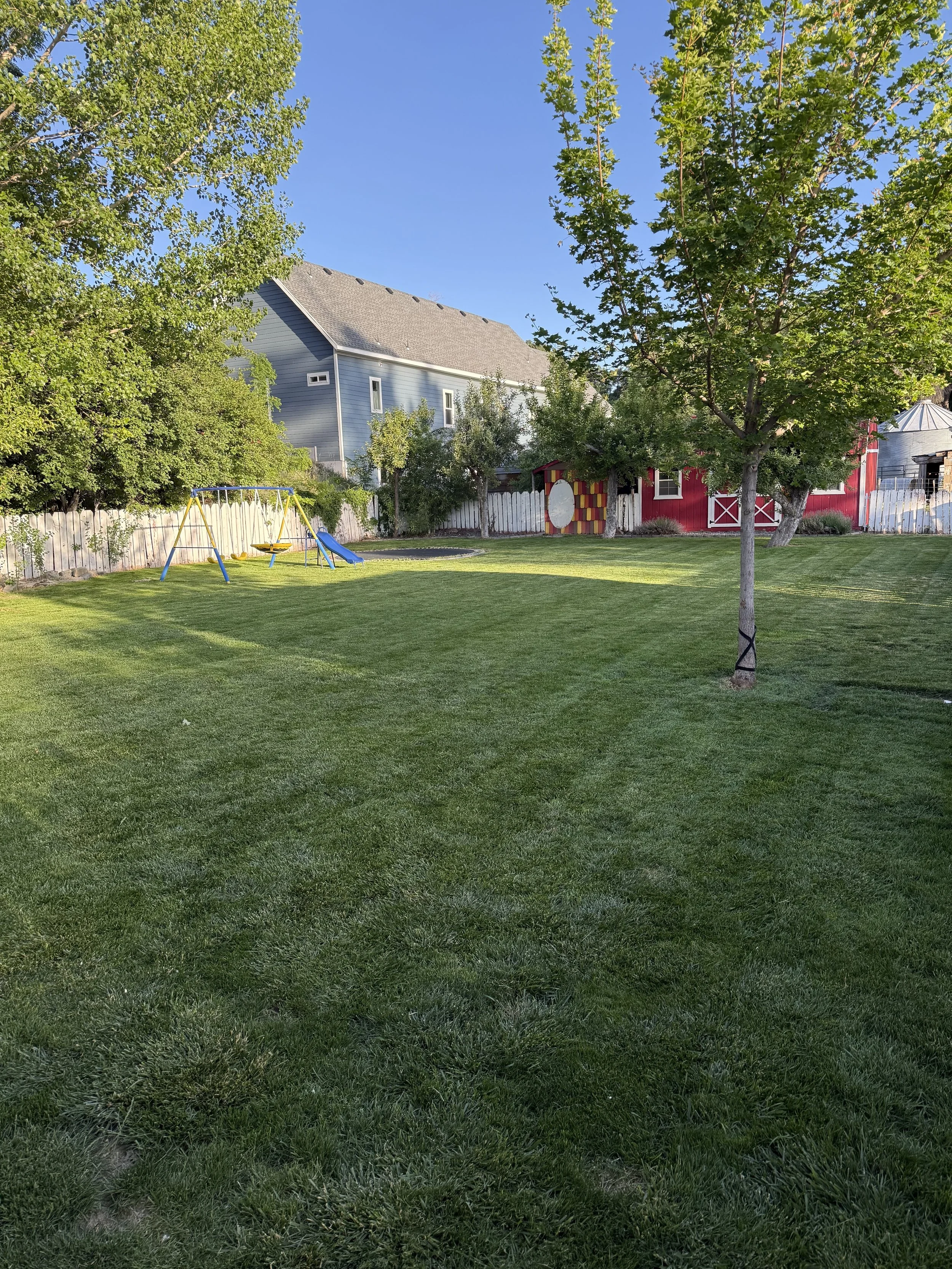 How to Keep Your Lawn Green During Utah’s Drought