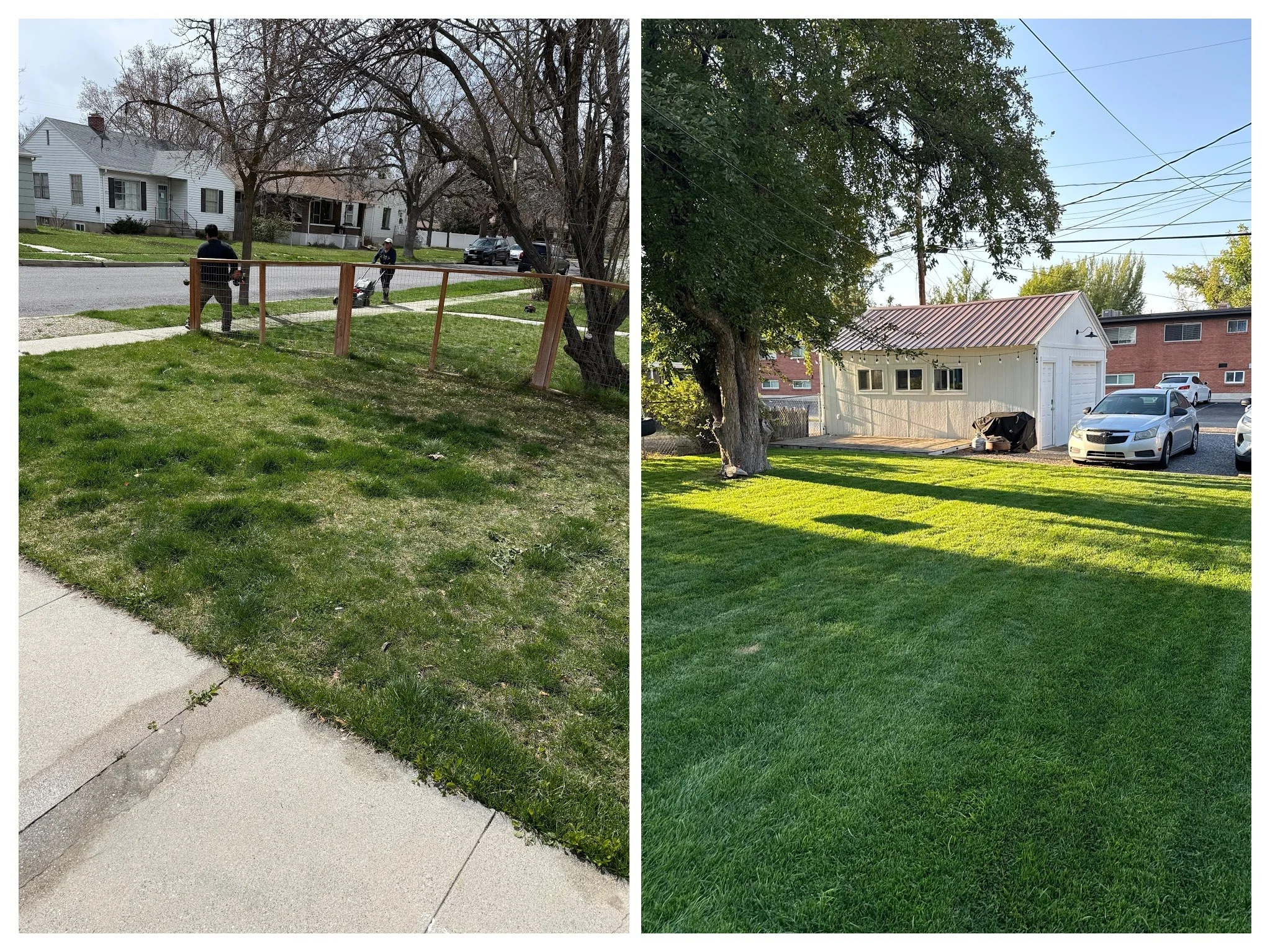 Brown Patches on Your Utah Lawn? Here’s How to Tell What’s Really Going On