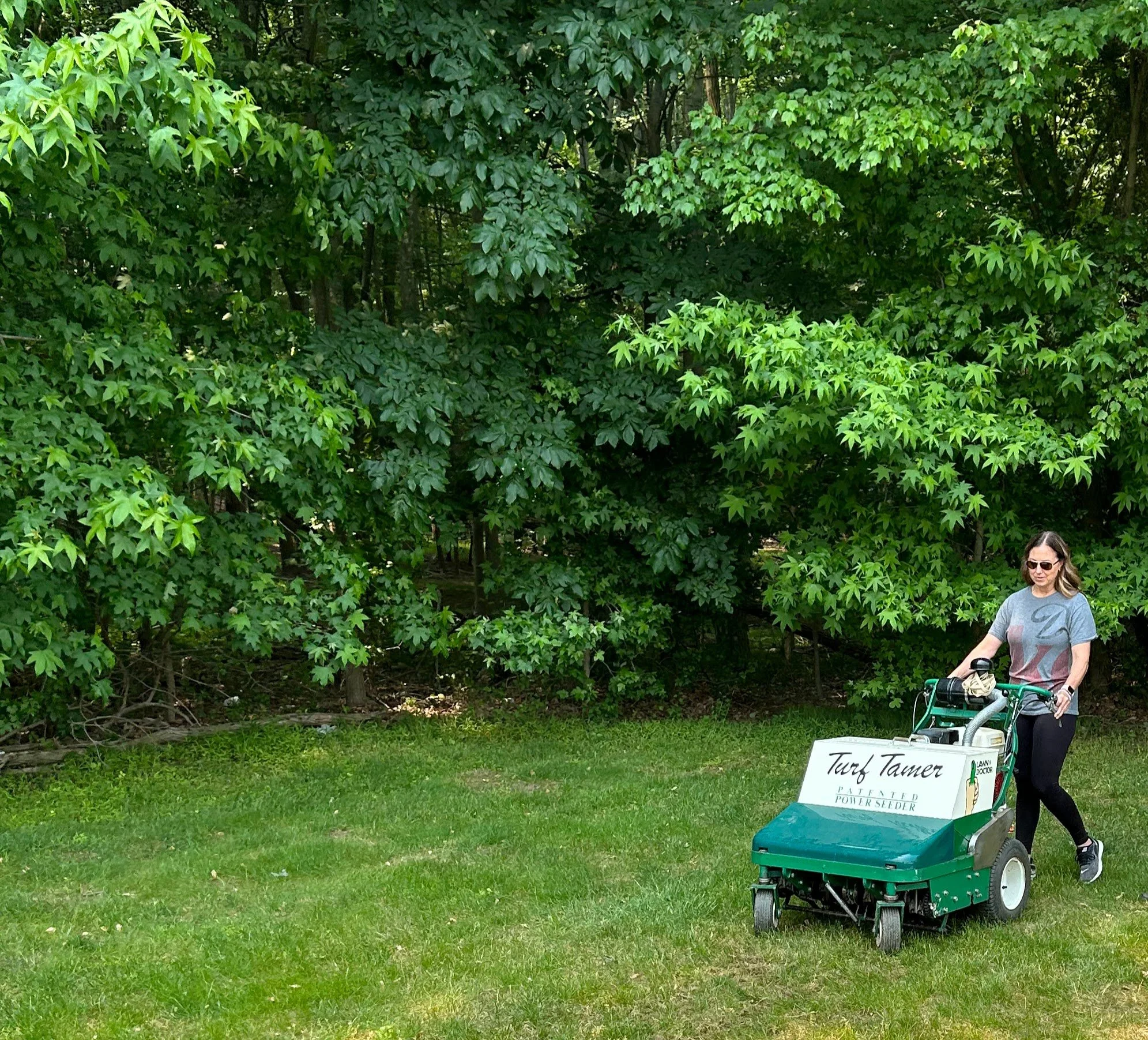 A woman power seeding a lawn wearing sunglasses, a gray T-shirt, and black pants walking behind a green lawn equipment labeled 'Turf Tamer' in a grassy area with dense green trees in the background.