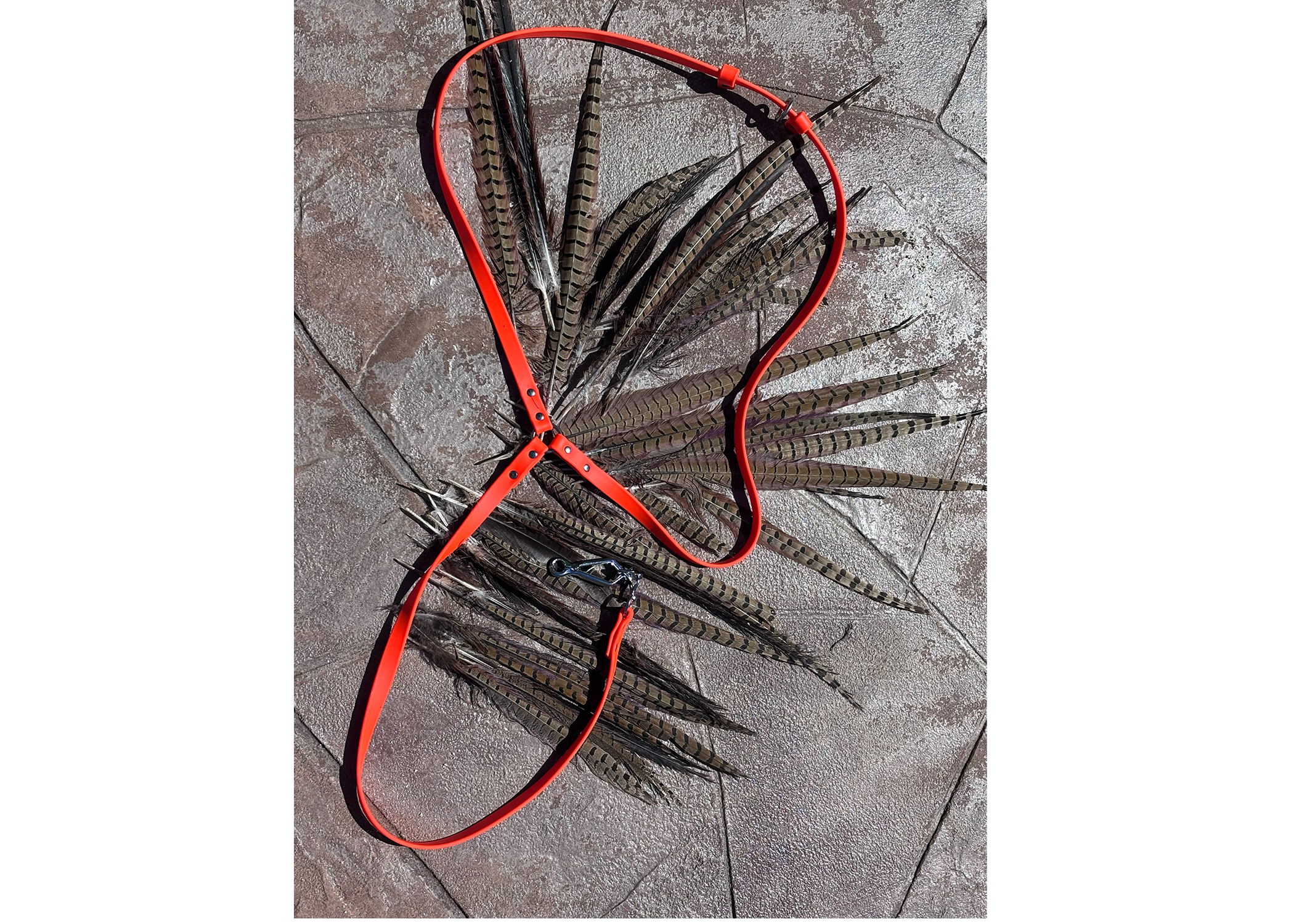 Iron Beard Outfitters Jaeger Style Biothane Hunting Lead