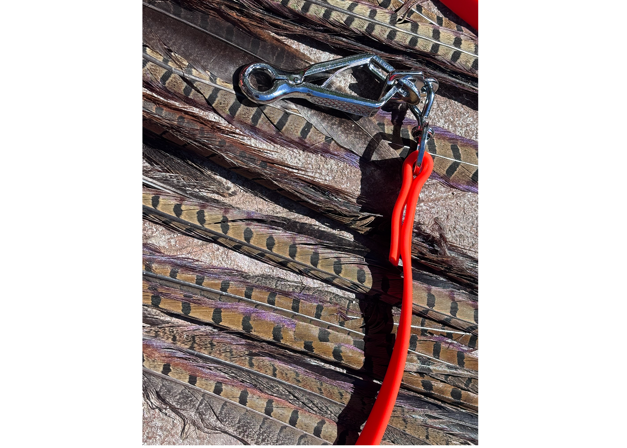 Untitled-7.png