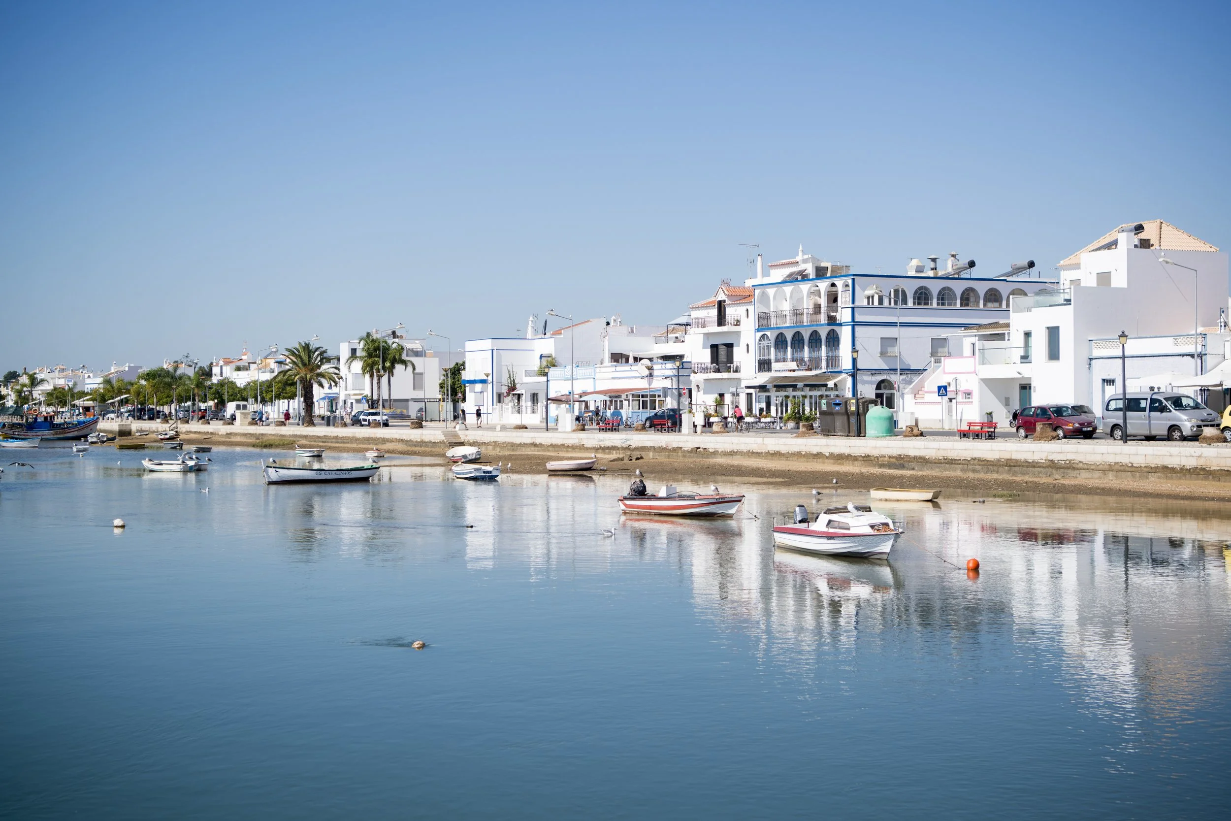 A coastal town with white buildings and palm trees along the water, with boats docked on the calm sea under a clear blue sky.
