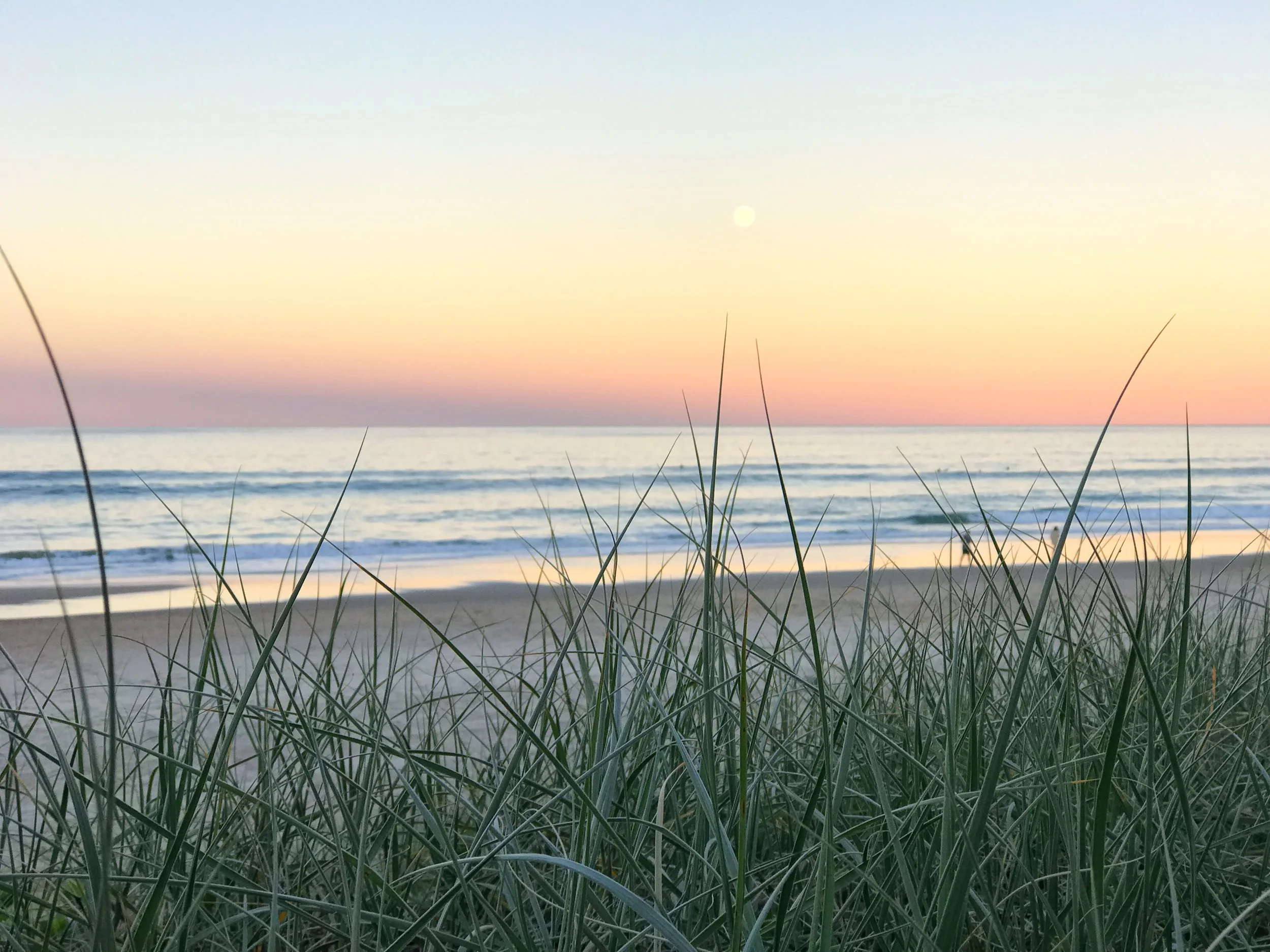 Sunset over the ocean with pastel sky, gentle waves on the beach, and green beach grass in the foreground.