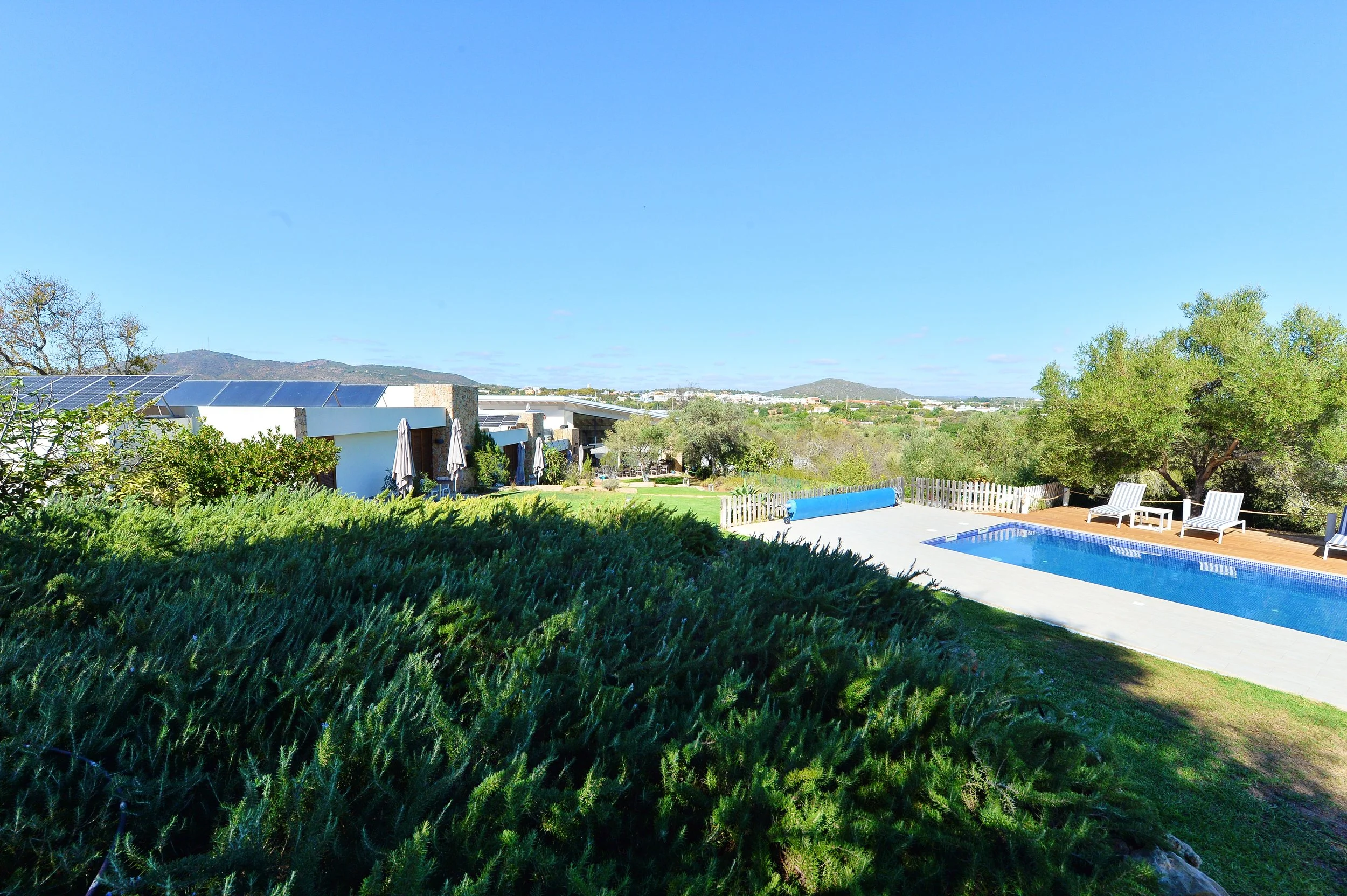 A backyard scene with a swimming pool, lounge chairs, surrounding greenery, and modern houses in the background under a clear blue sky.