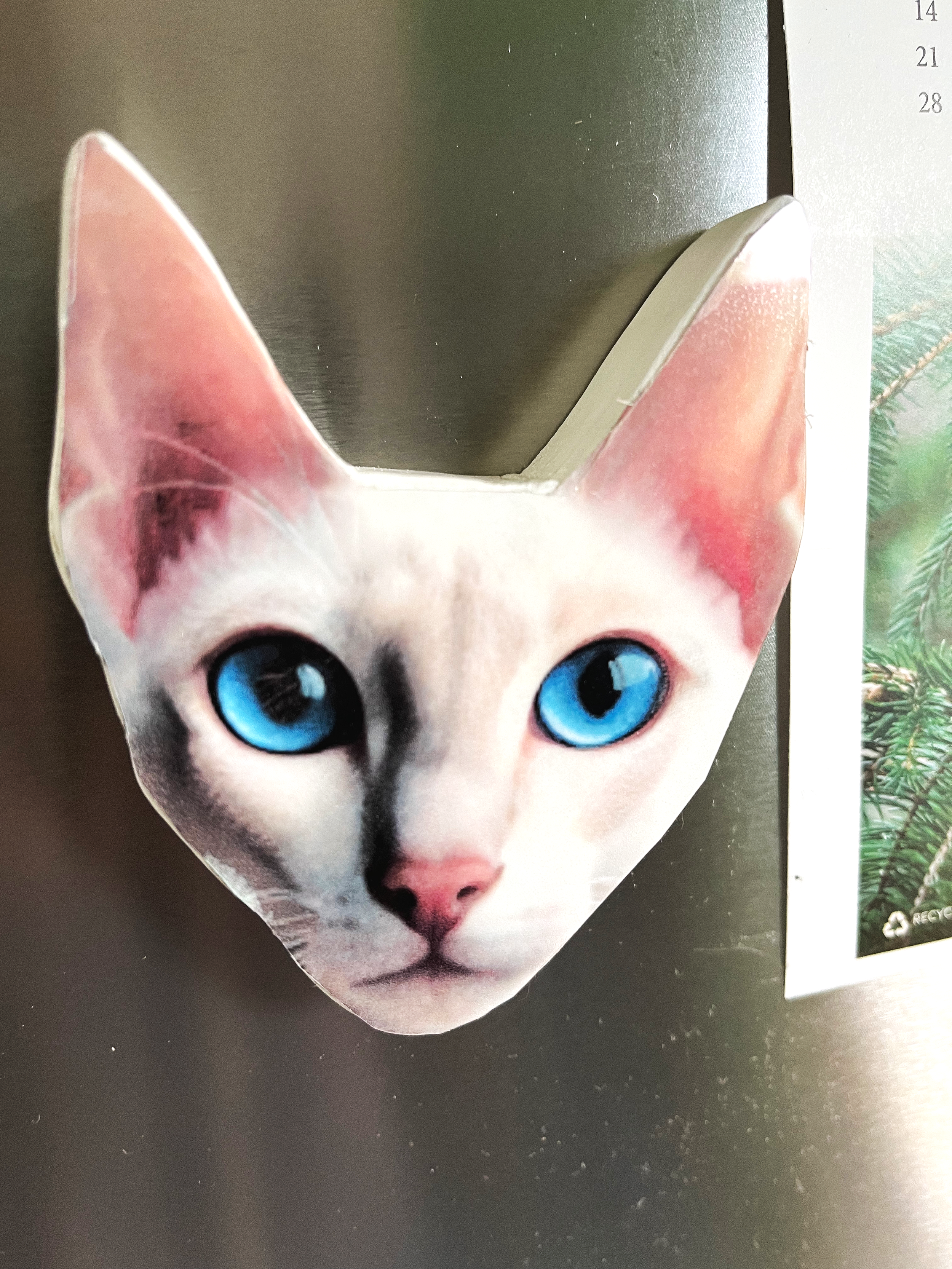 Custyom Bottle Opener