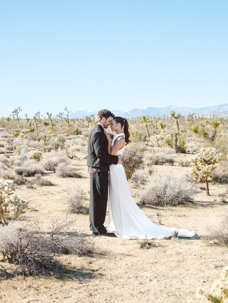 Wedding Styled Shoot-Joshua Tree.jpg