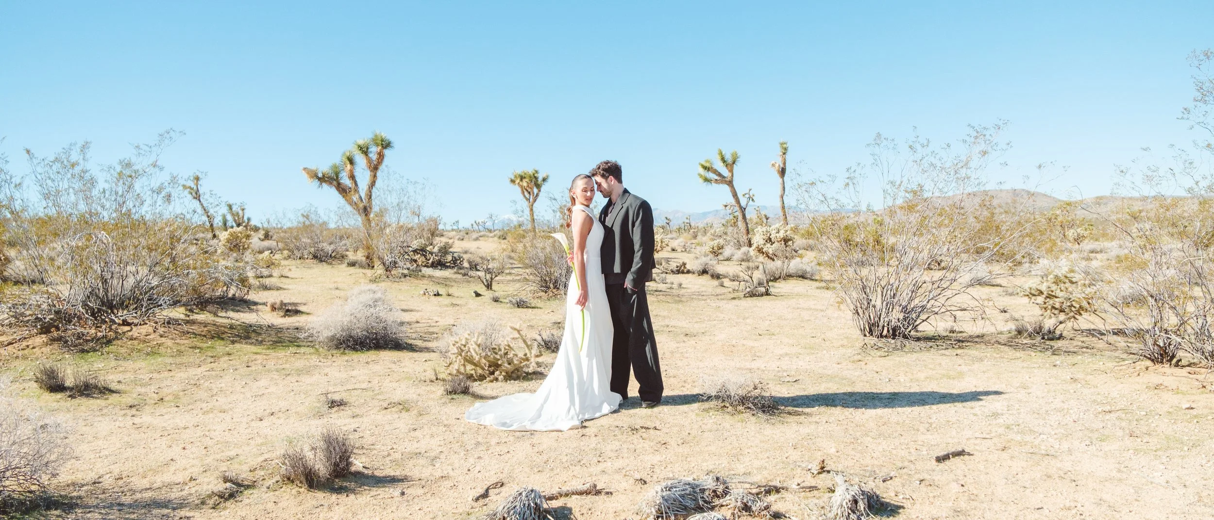 Editorial portrait of the couple framed by desert landscape and natural light during a Joshua Tree wedding styled shoot.