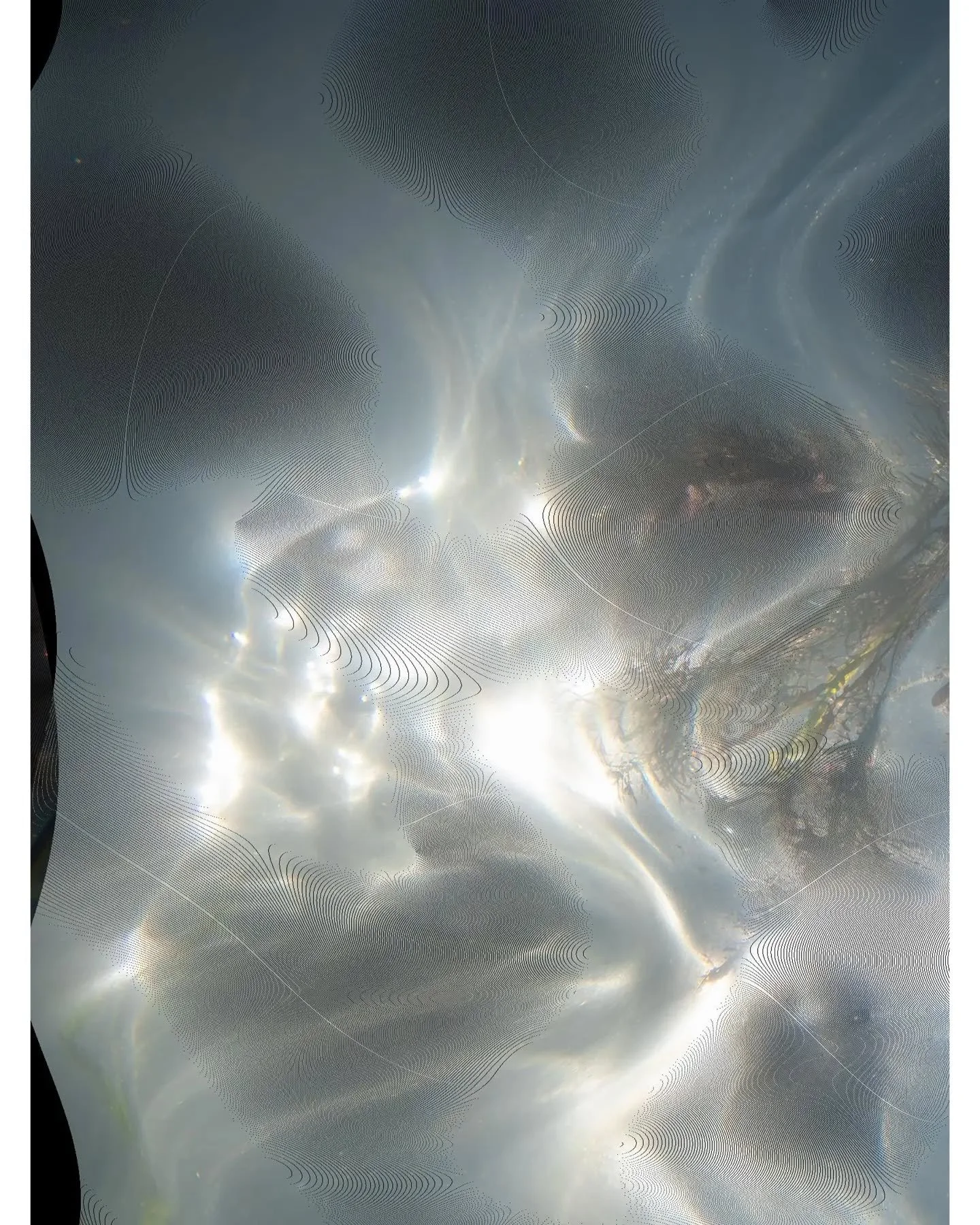 Visit my profile for the whole image☝️

This is a teaser for the next project, Underwater Flora. Really keen to pick this one back up - I wanted to master printing on a smaller scale before tackling these, these are going to be huge!

Combining digit