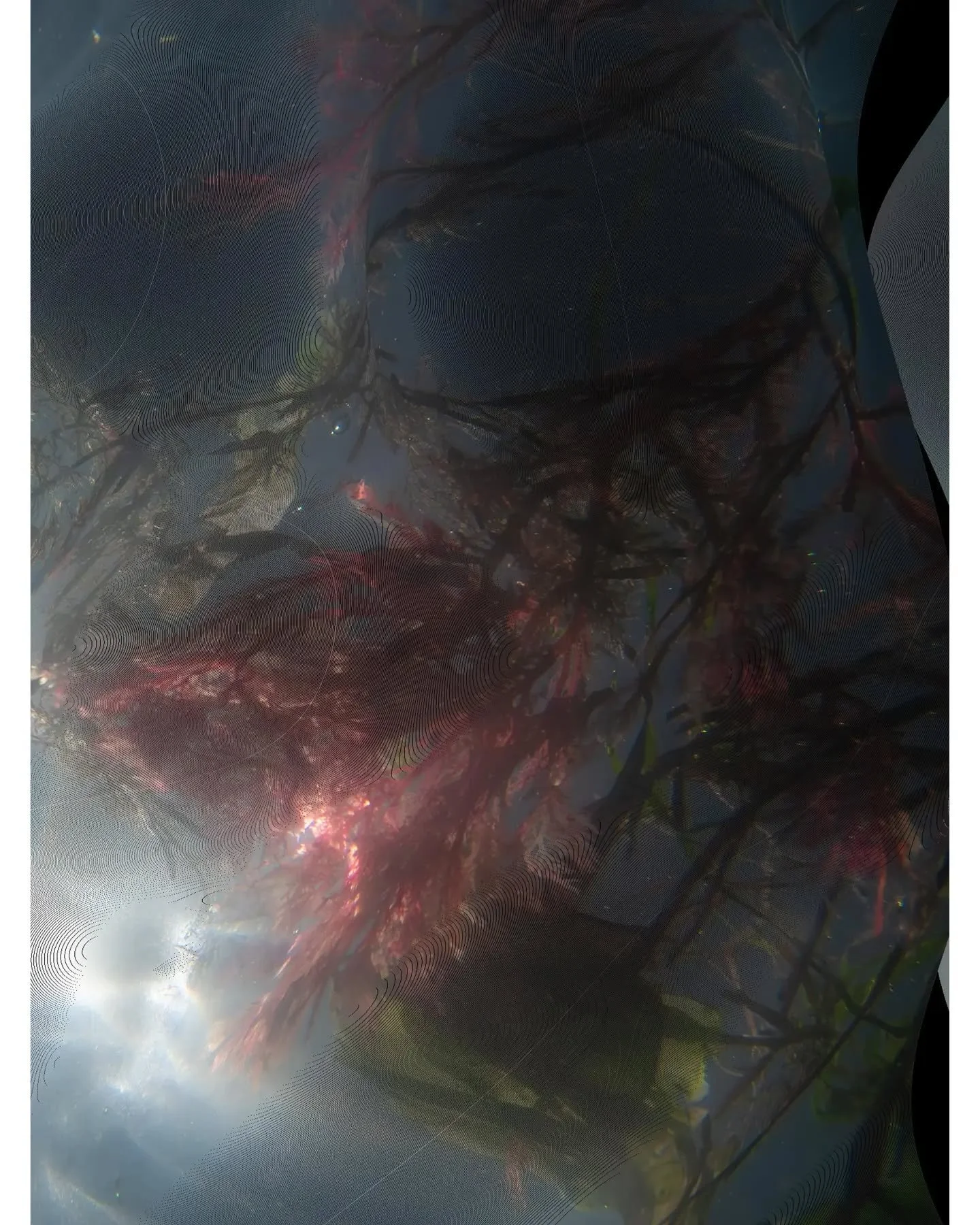 Visit my profile for the whole image☝️

This is a teaser for the next project, Underwater Flora. Really keen to pick this one back up - I wanted to master printing on a smaller scale before tackling these, these are going to be huge!

Combining digit