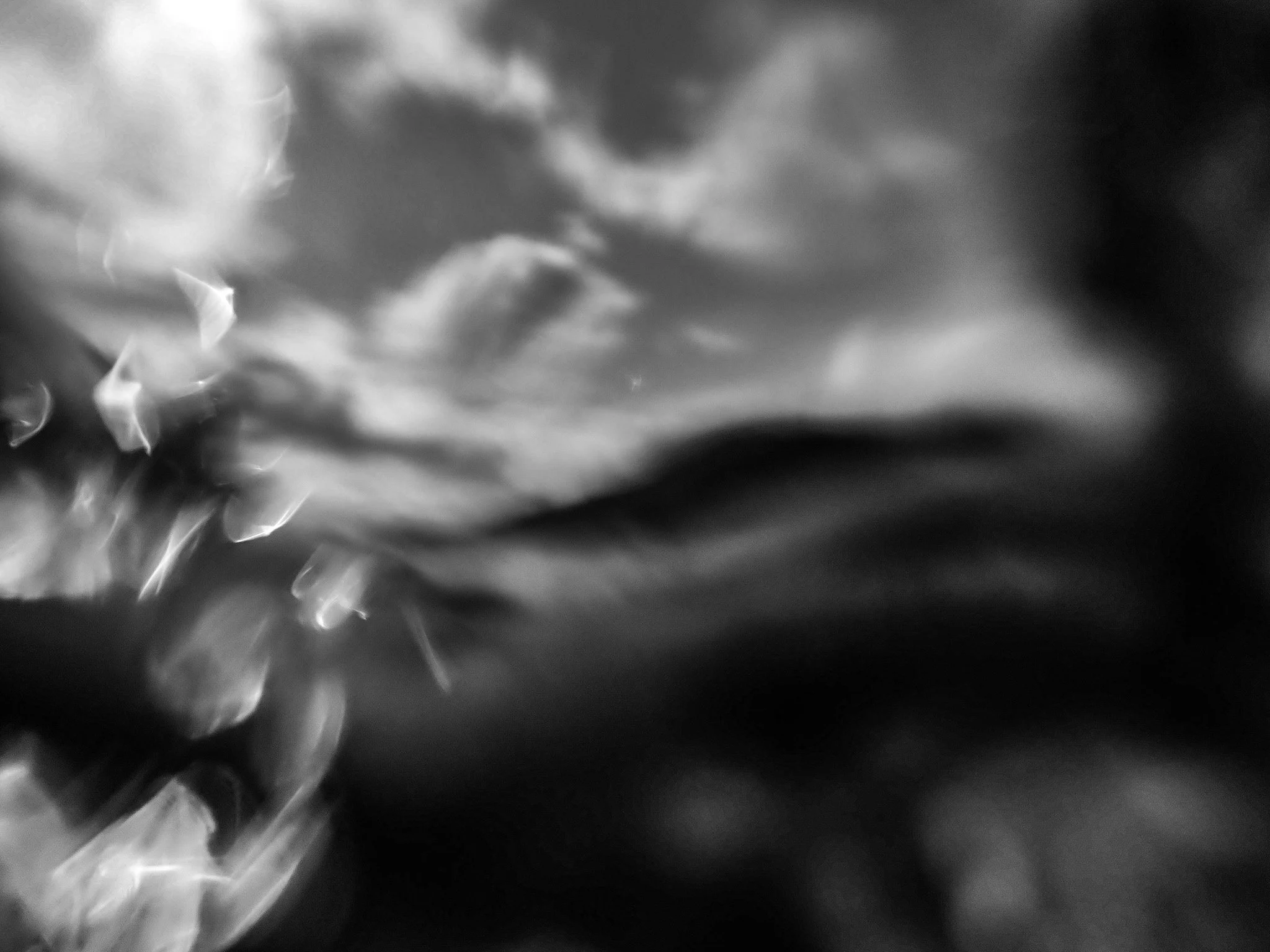 OI002830-Edit.jpg