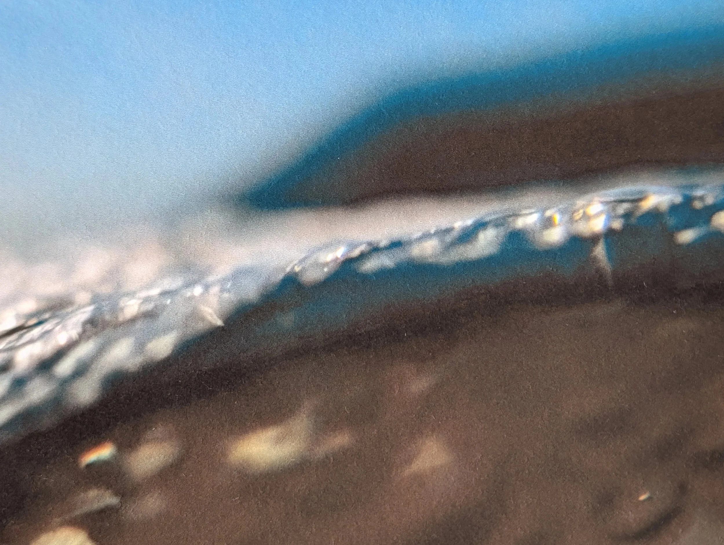 PXL_20260531_070633256.jpg
