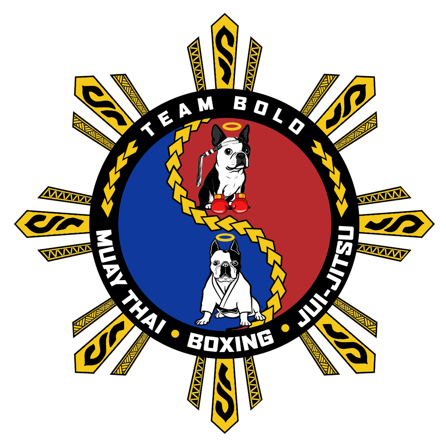 TEAM BOLO MARTIAL ARTS AND SELF DEFENSE
